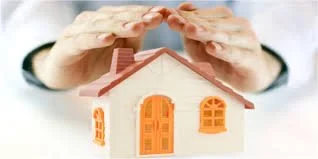 Services Include But Not Limited To