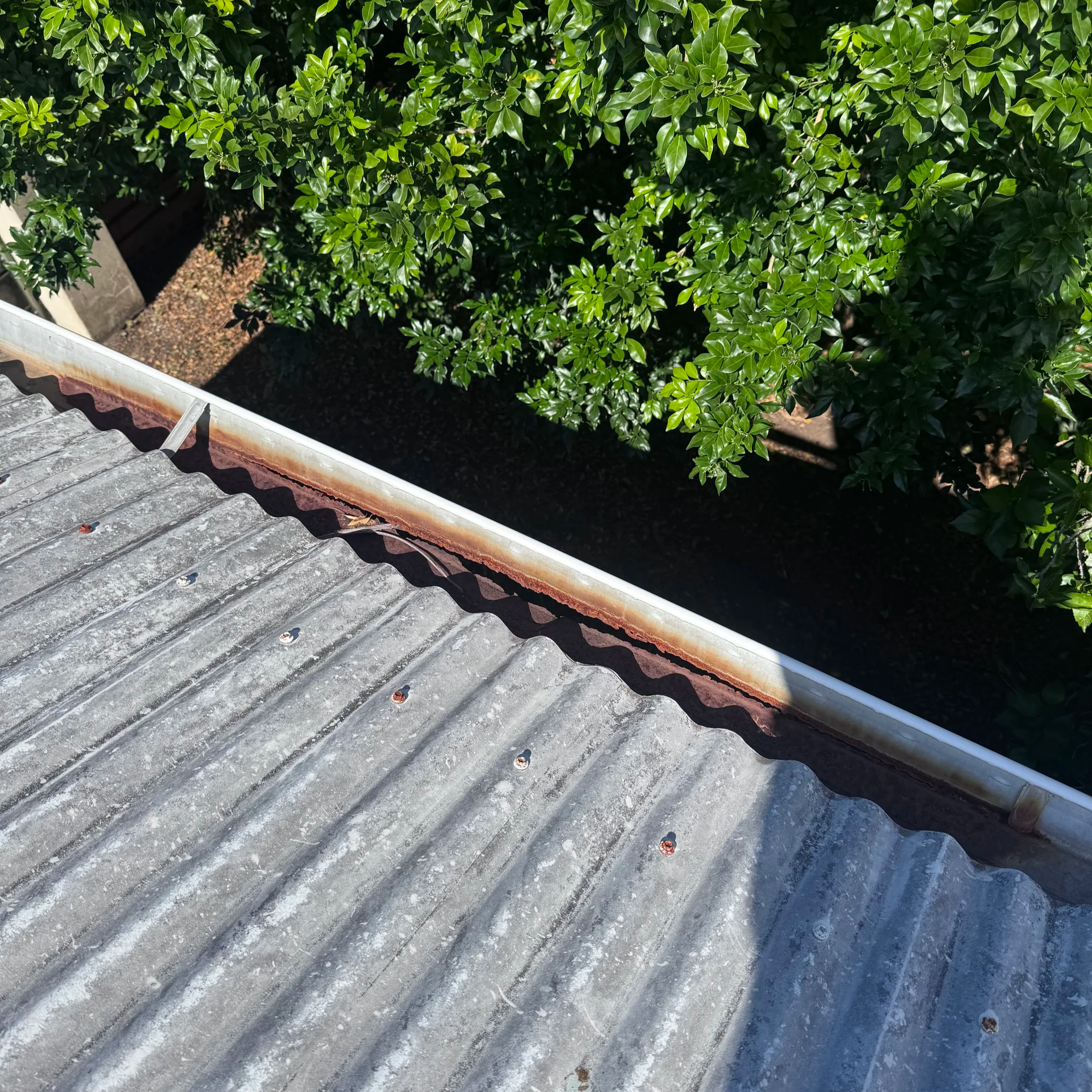 Close-up of a corrugated metal roof with rust along the edge, next to a gutter and green shrubbery.