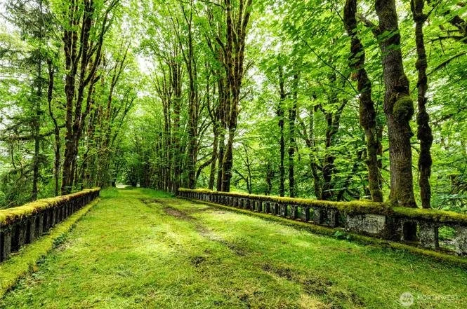 A possible ceremony location or the beginning of a relaxing hike