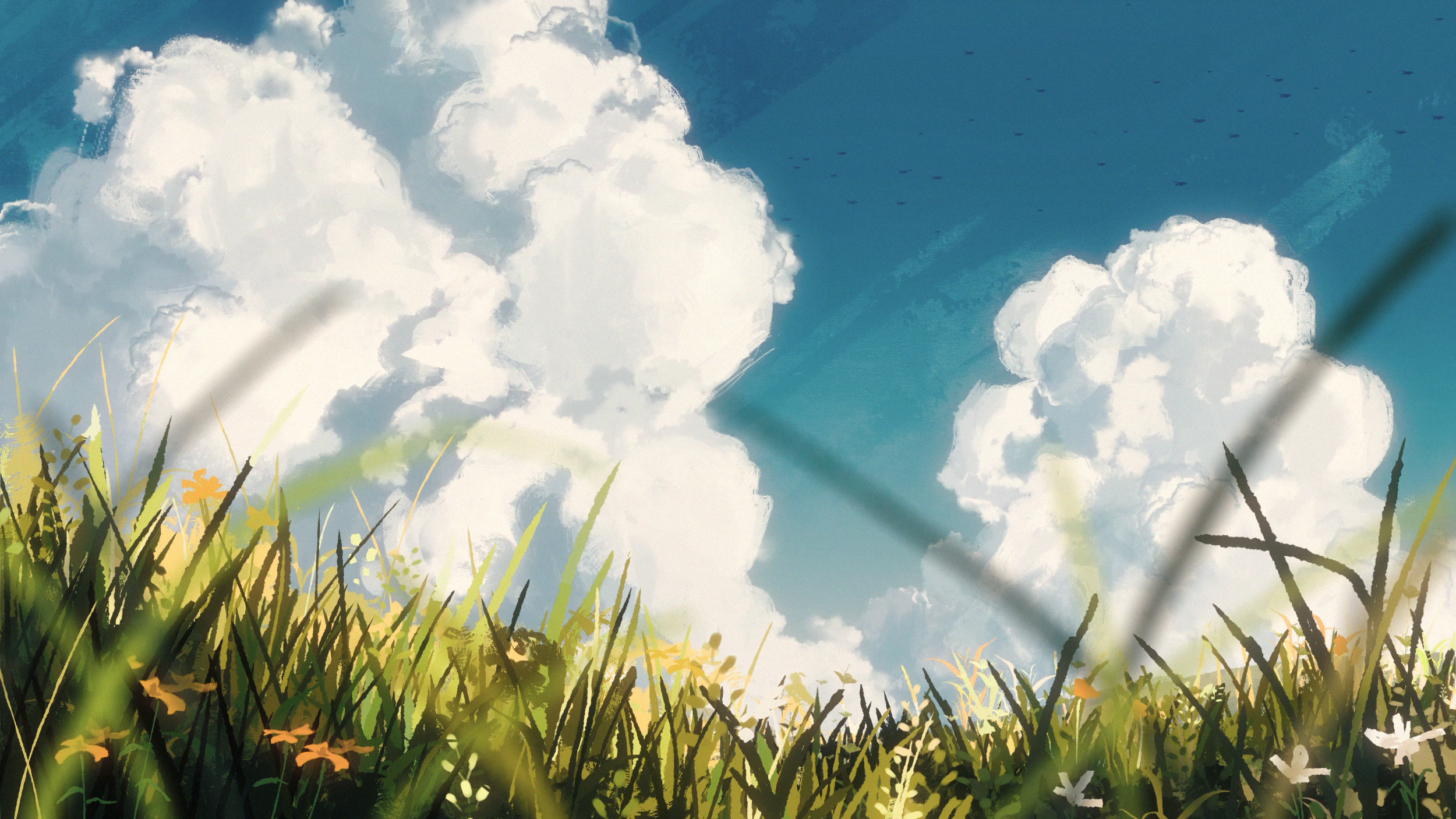 Pomelo Final Cut .00_00_12_09.Still002.png