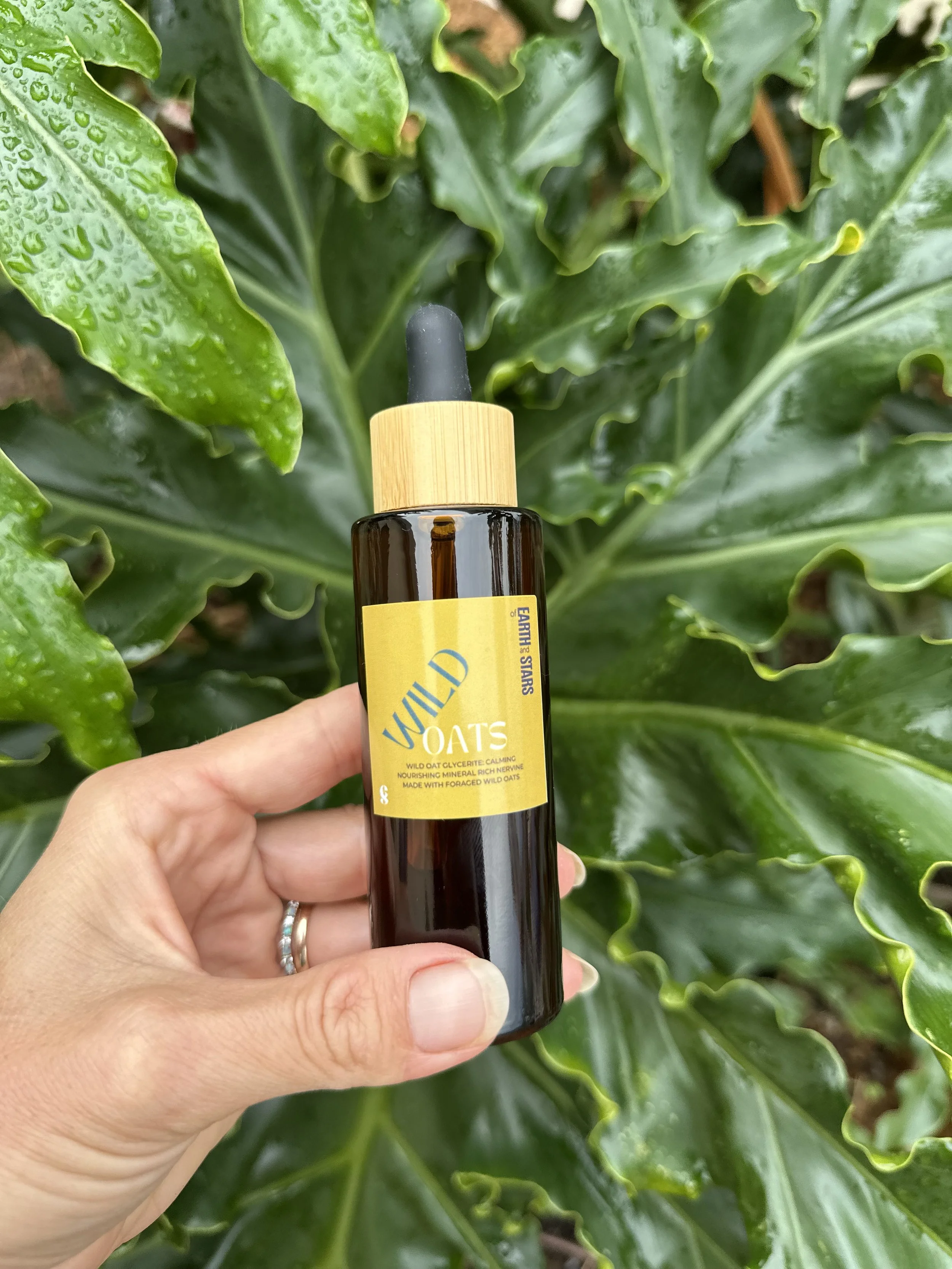 Wild Oats Tincture (Glycerite)