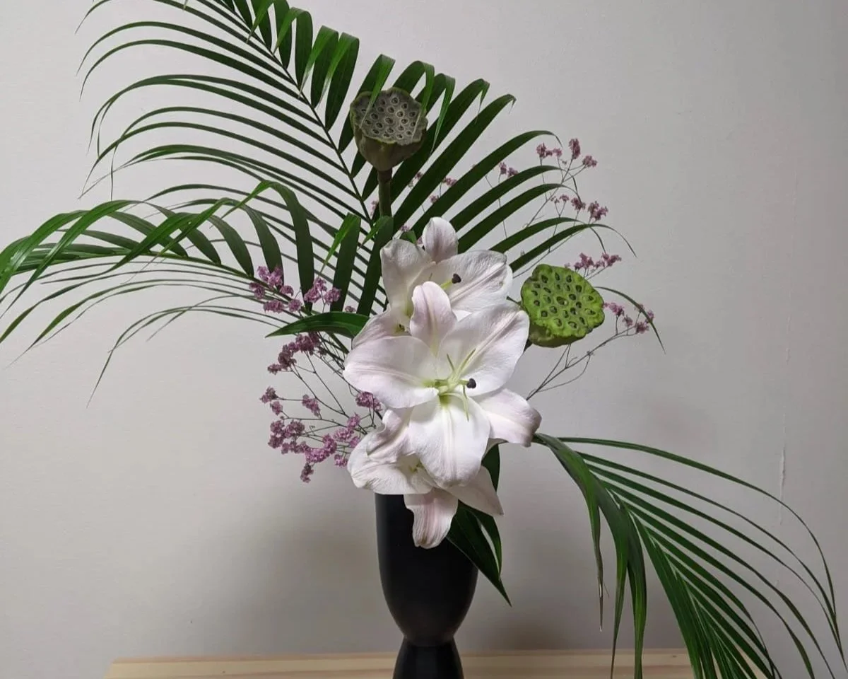 Mujo. Transcience. 1.16