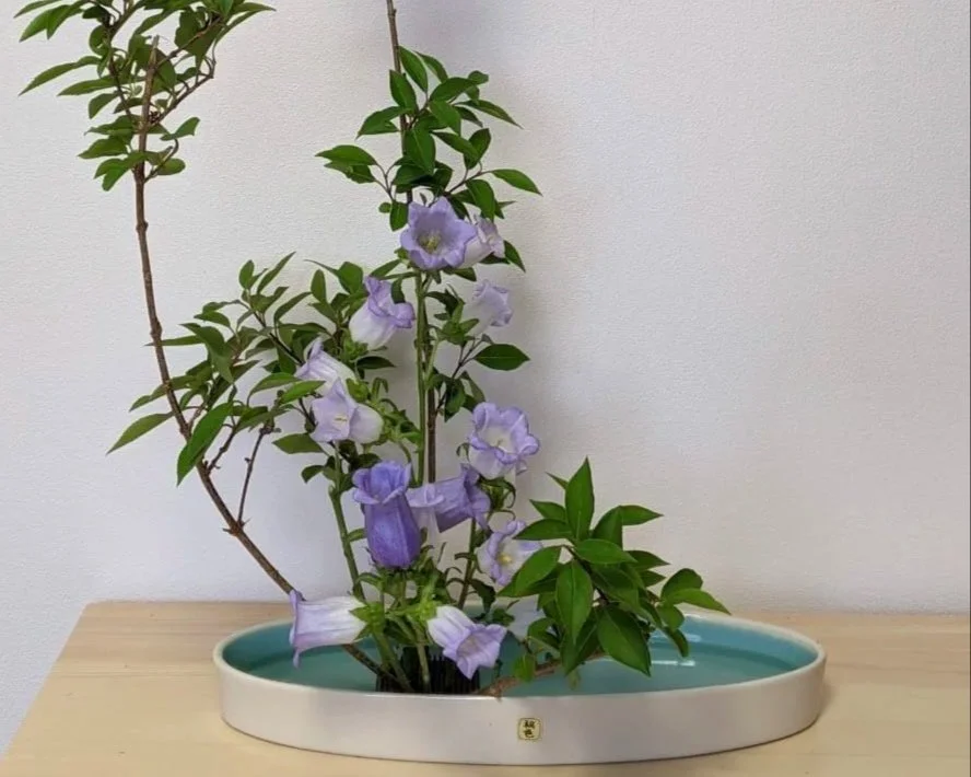 Tsuya. Polish, Refinement.  1.3