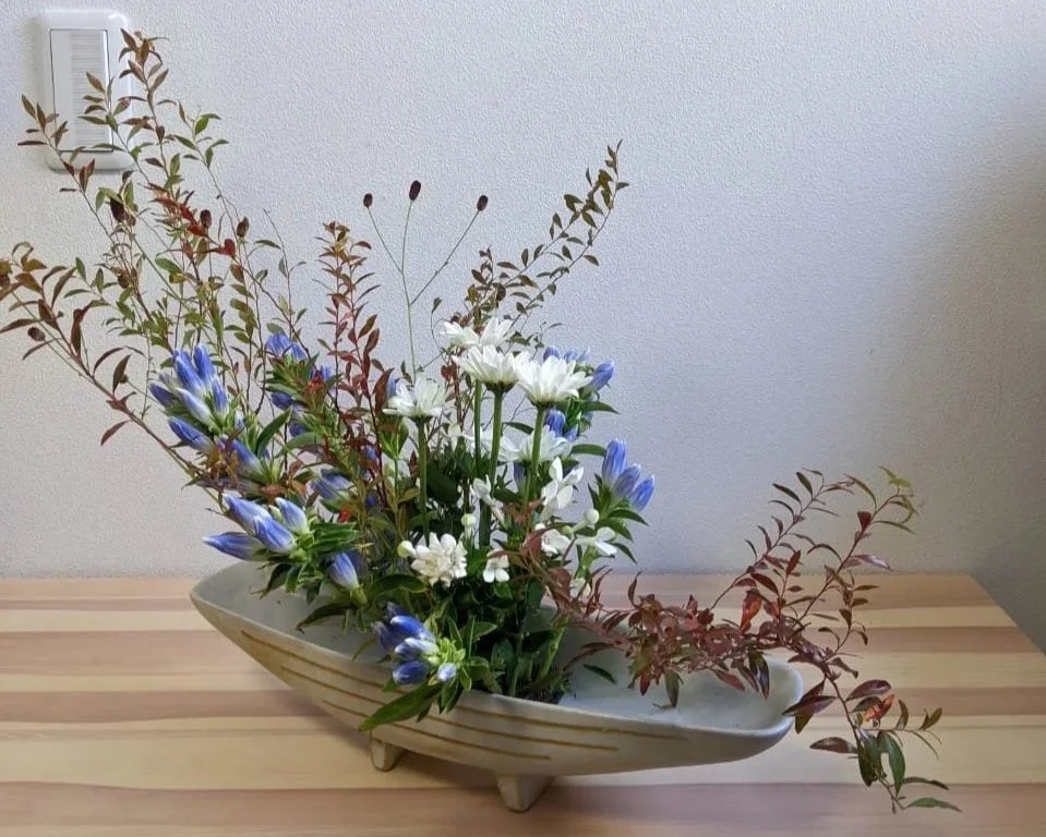 Inga. Cause and Effect. 1.20