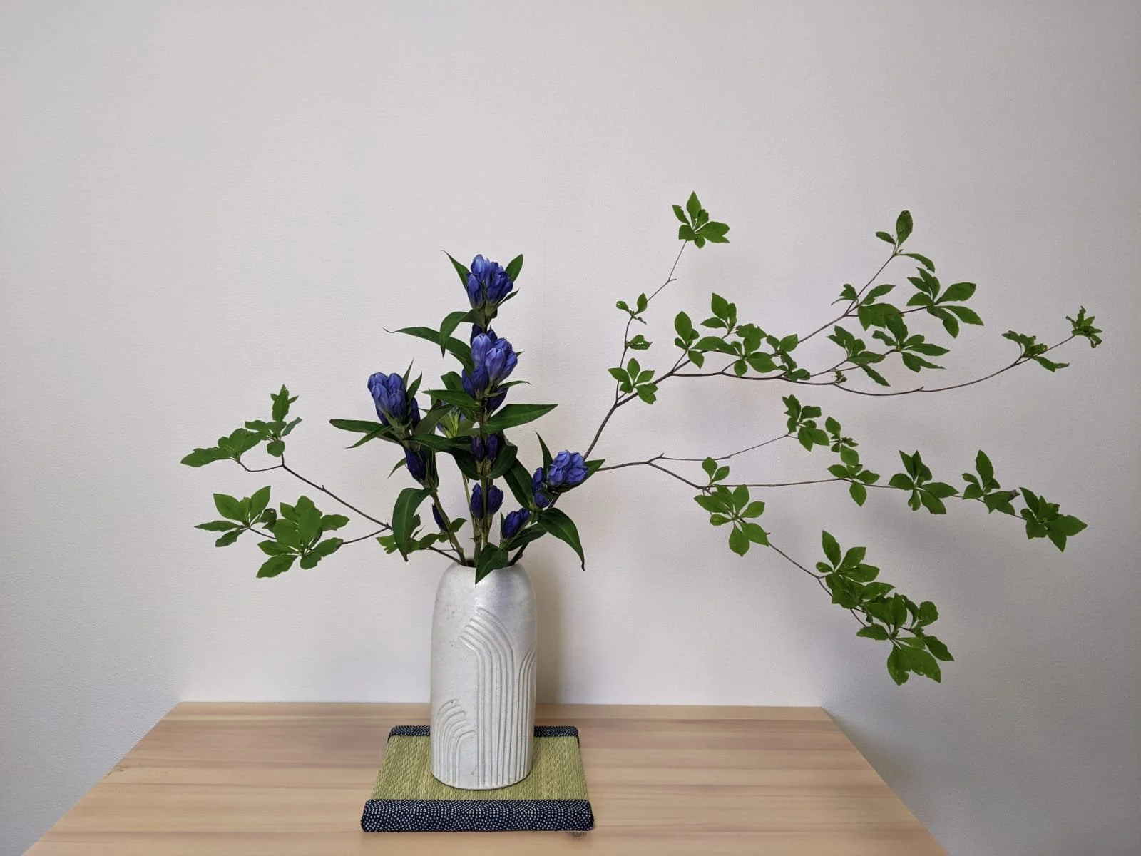 Misogi. Purification. 1.13