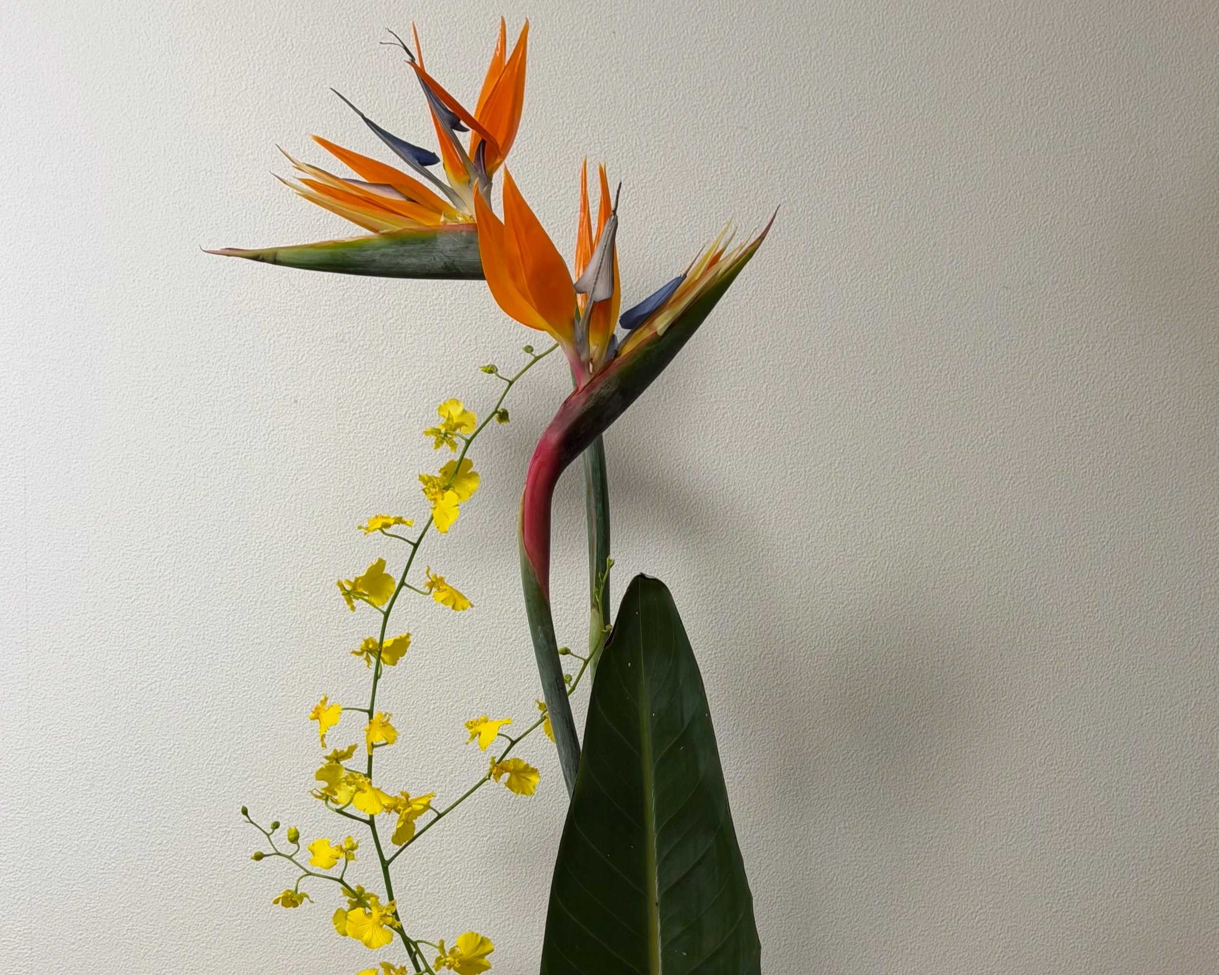 Gojo. Cooperating and Compromising. 3.6