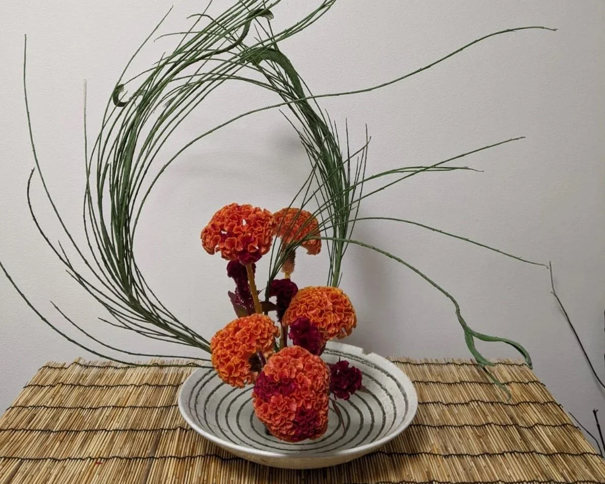 Yuzu. Flexible Thinking. 2.15