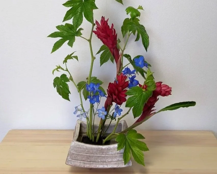 Yugen. Profound Tranquility.  1.2