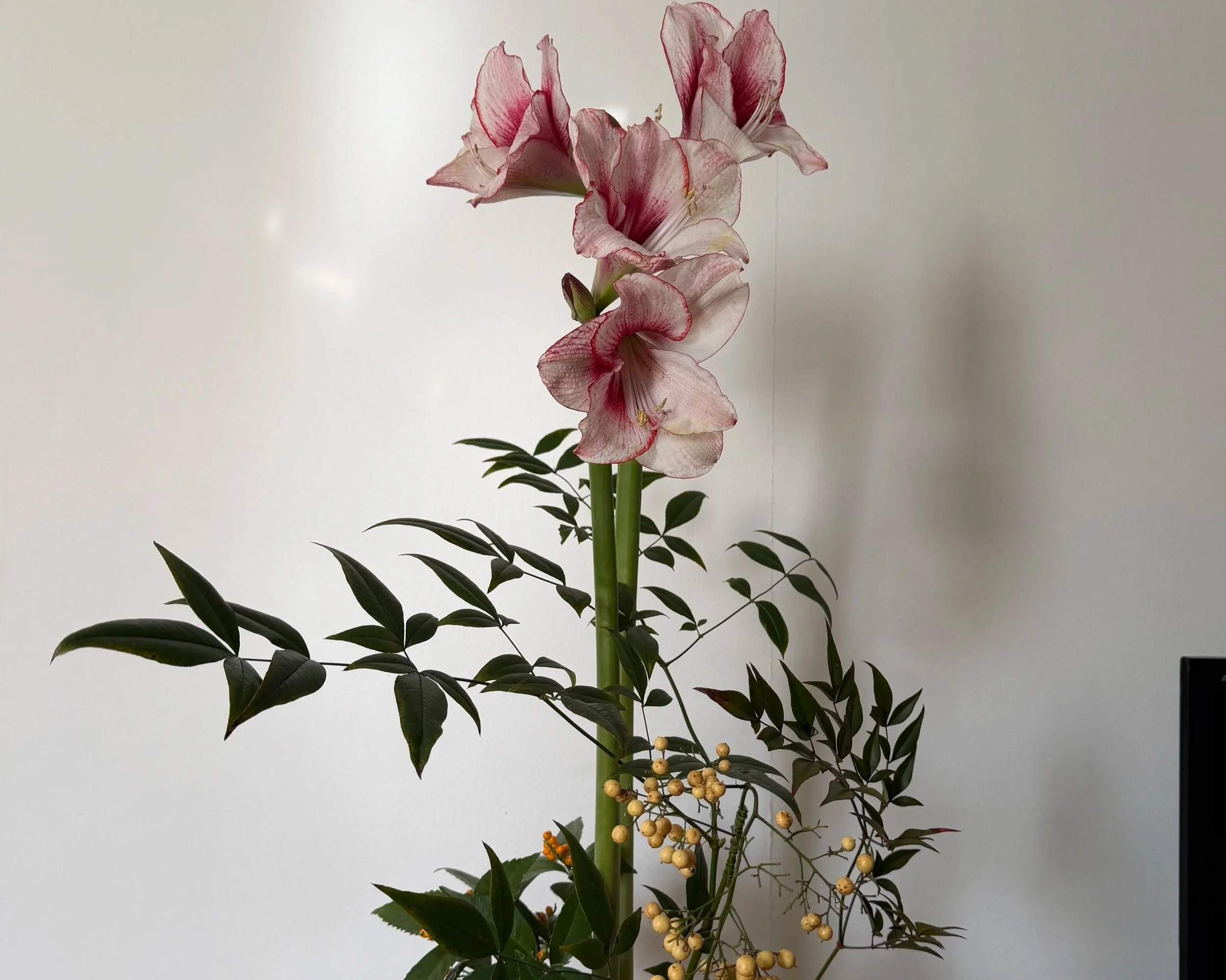 Ki. Energy, Spirit. 2.20