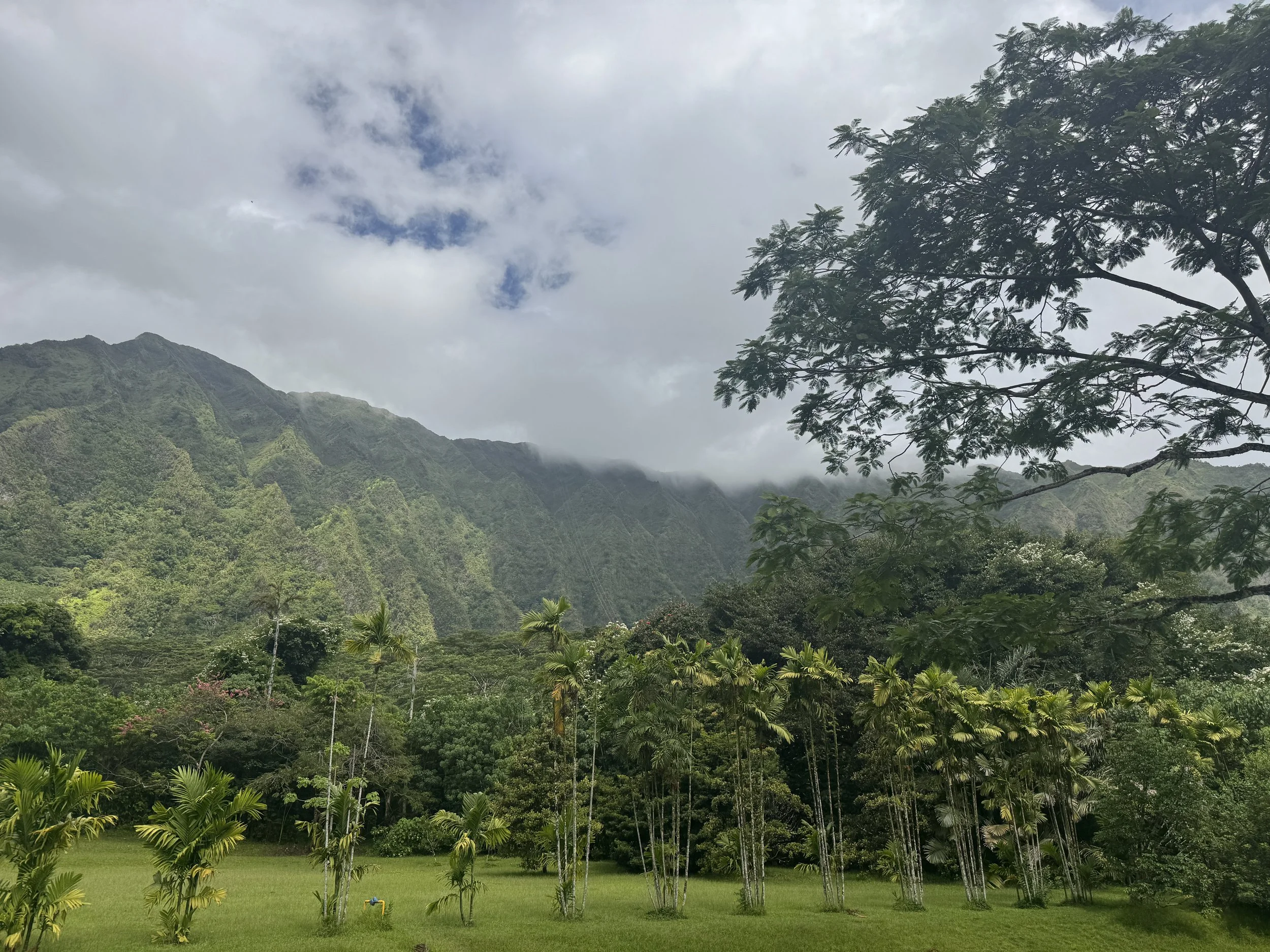 mountain_landscape.jpg