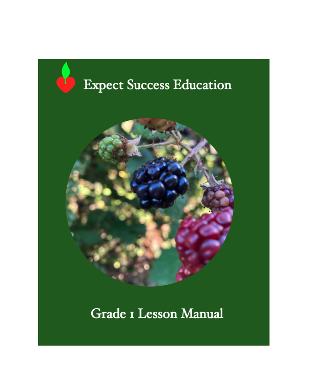 Grade 1   Ages 6-7  Teacher's Lesson Manual