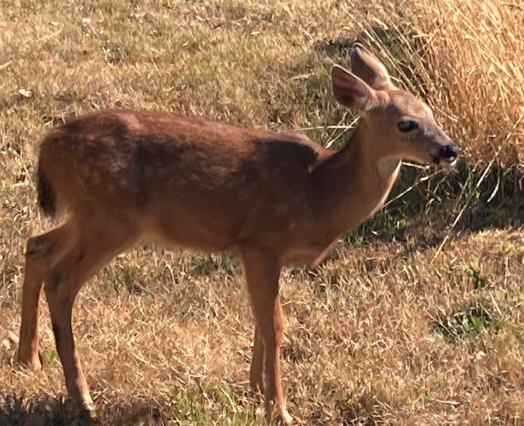 Screenshot 2026-02-09 at 4.39.24 PM.png