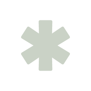 A white asterisk symbol on a black background.