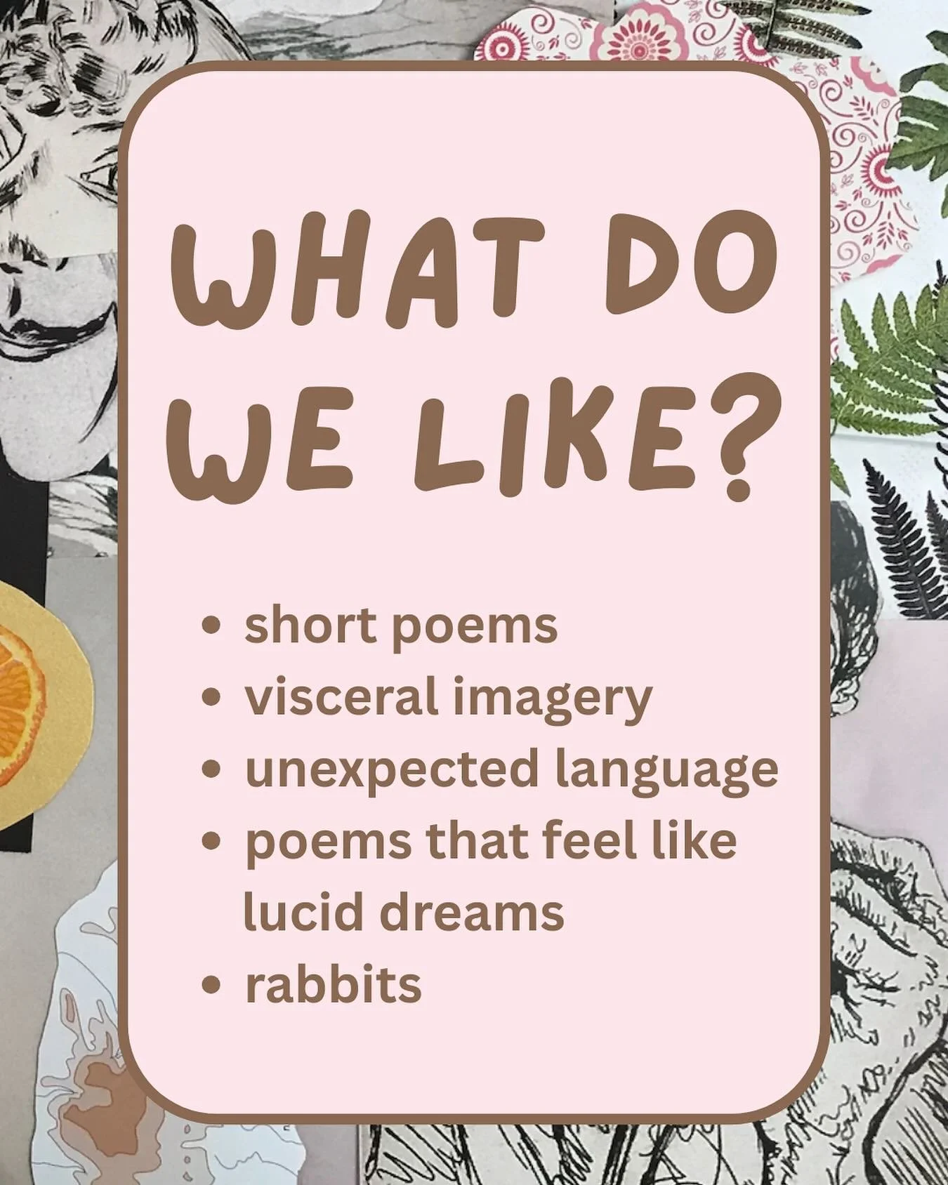 Little Rabbit wants poetry that pokes and prods... that shivers and shakes... whatever that means 🐇👆🏻

#poetry #litmag #literary #poems #literarymagazine