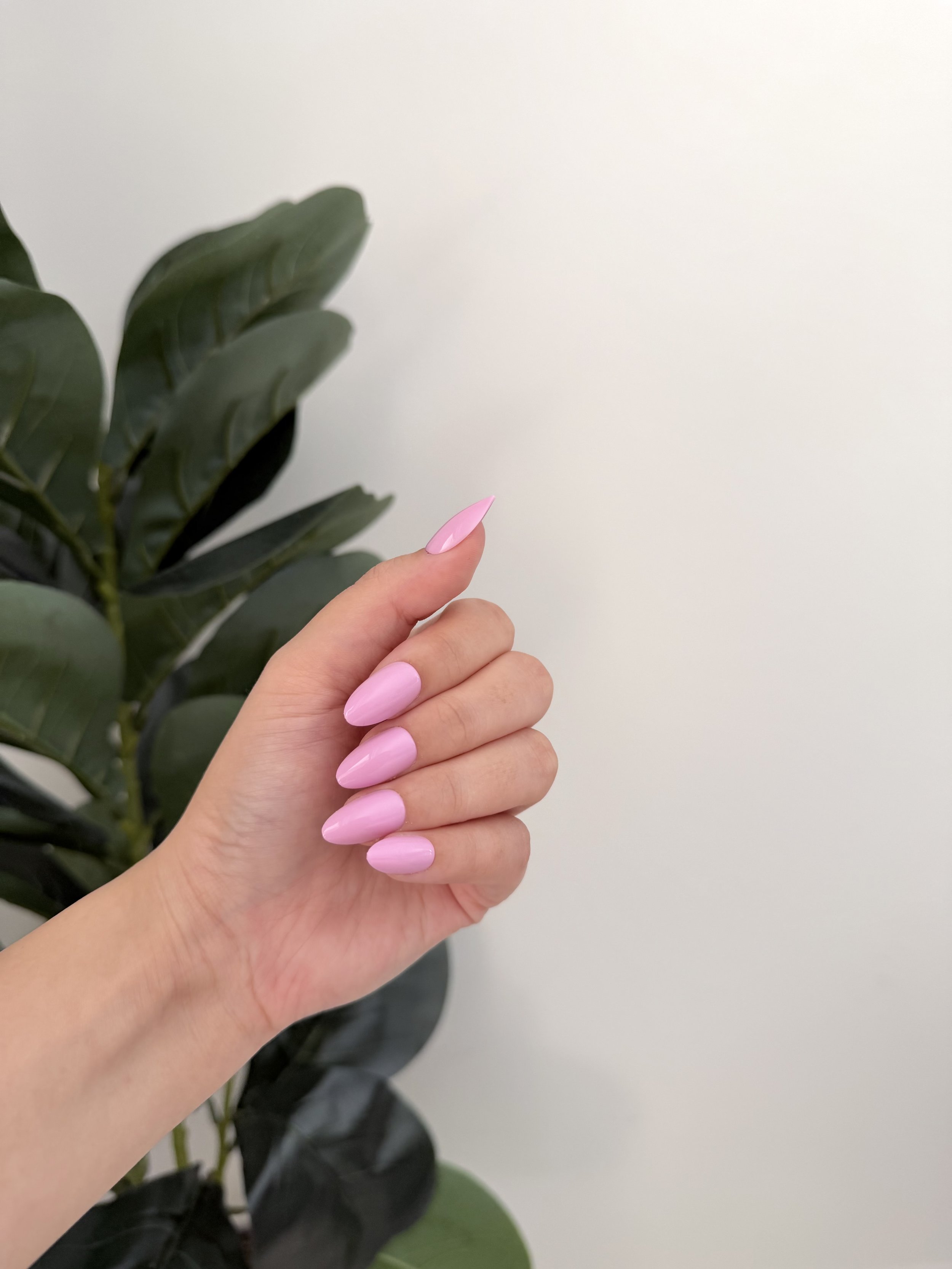 Cotton Candy
