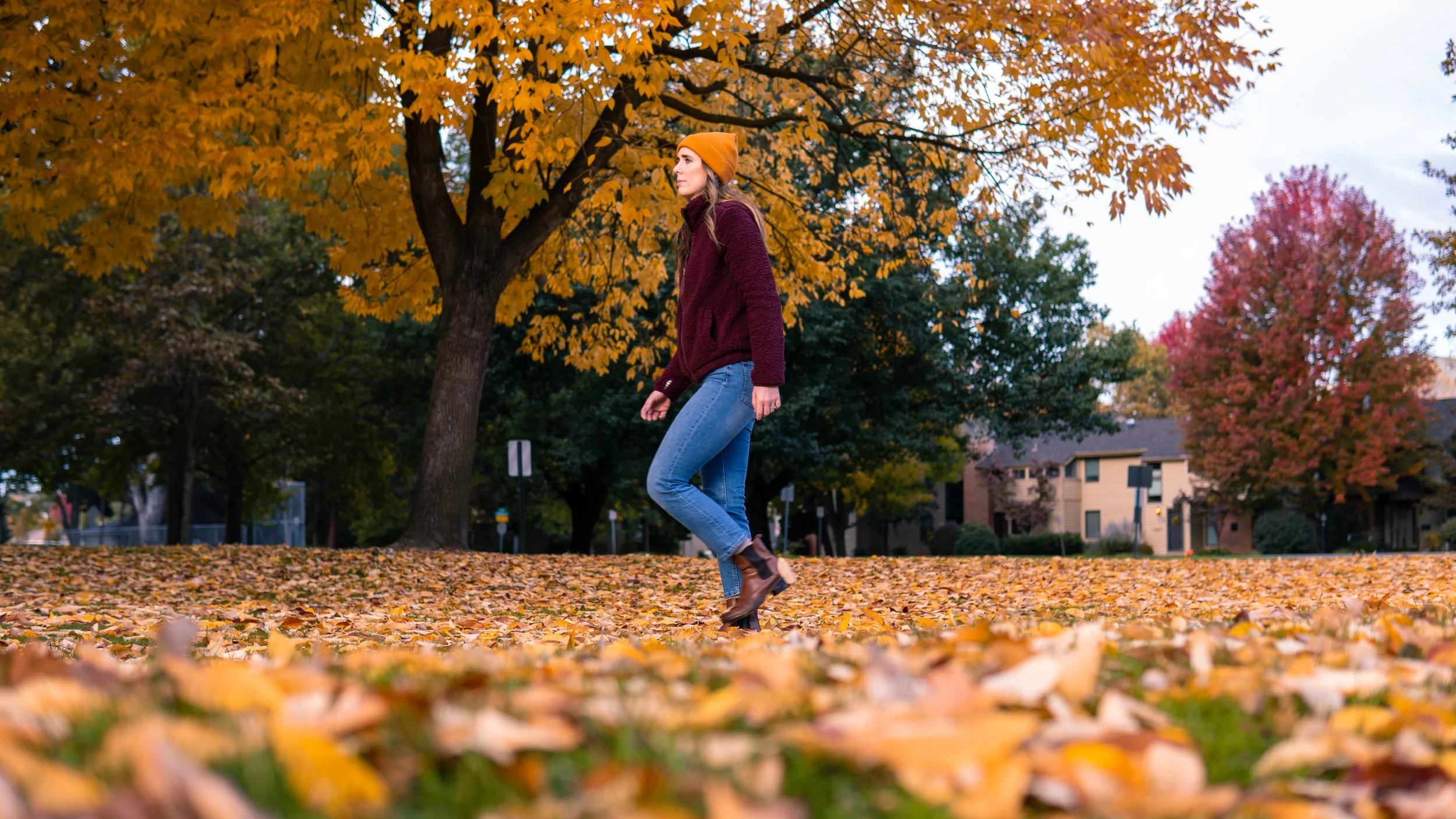 A6600377.jpg