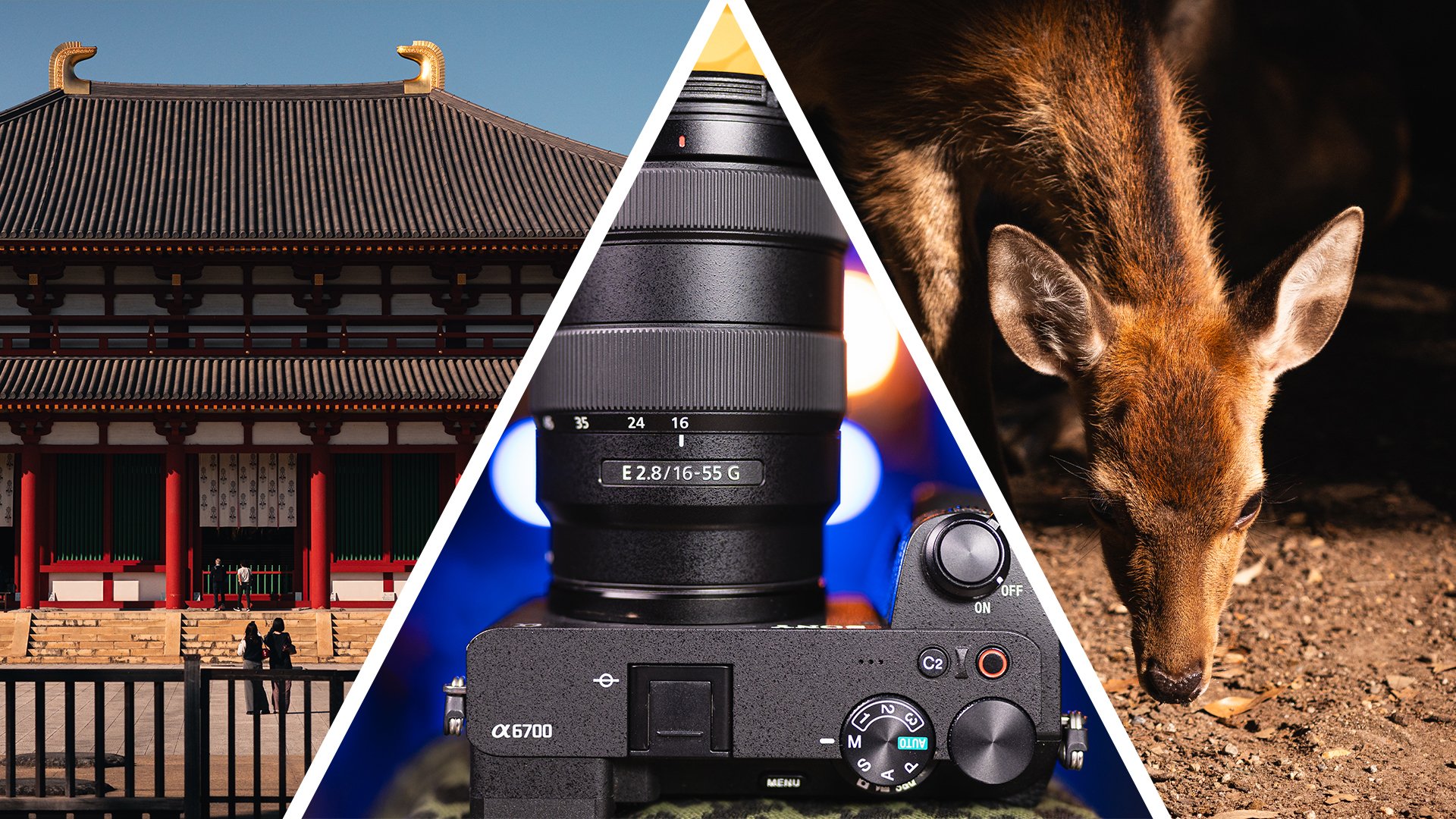Sony a6700 16 55 Nara Japan Thumbnail.jpg