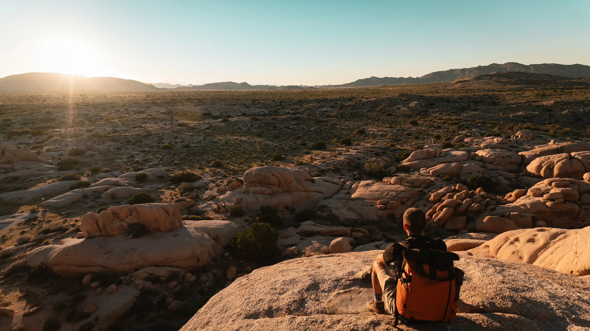 Joshua Tree a6700 Tamron 11-20-4.jpg
