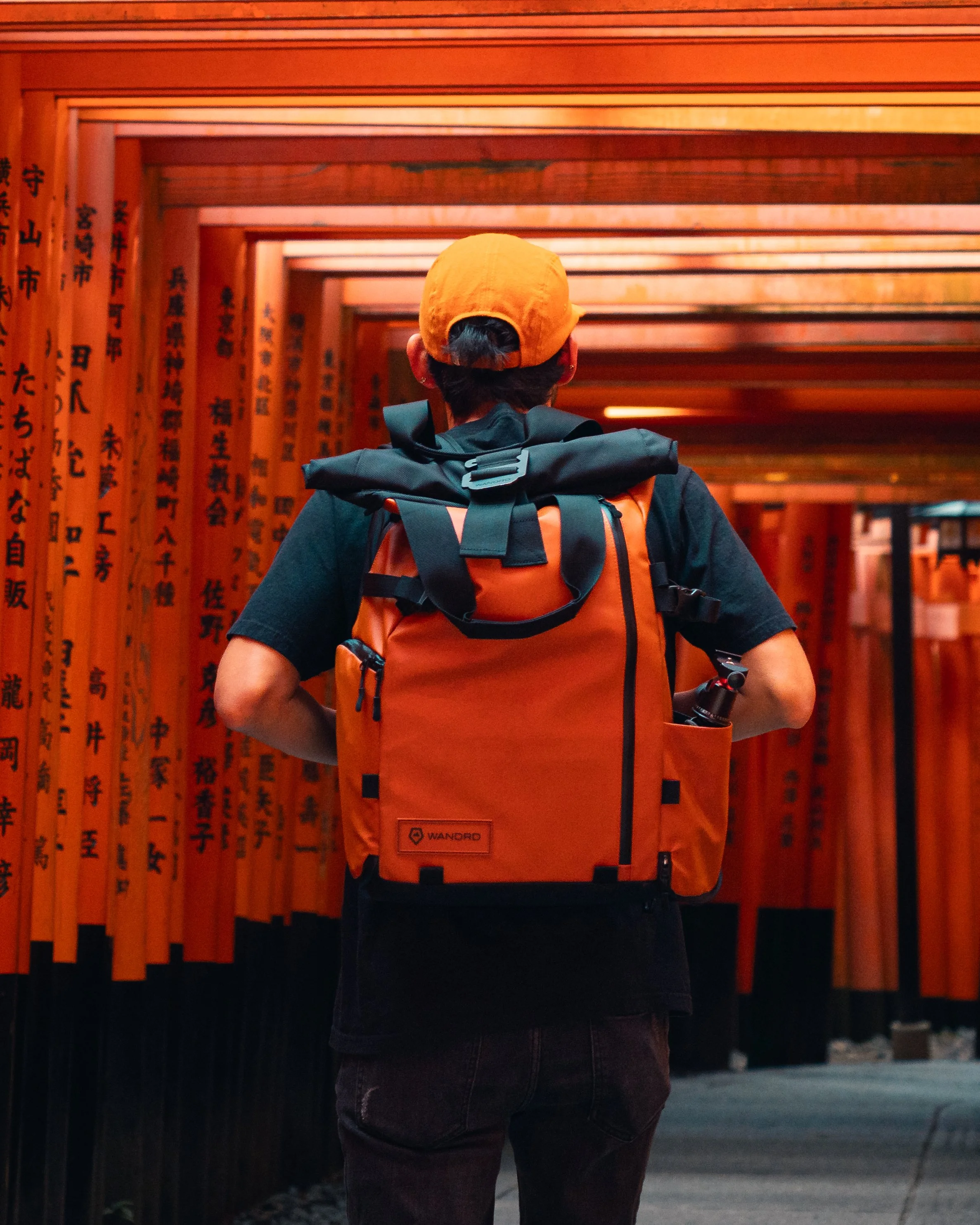 Japan a6700 16-55 F2.8-10.jpg