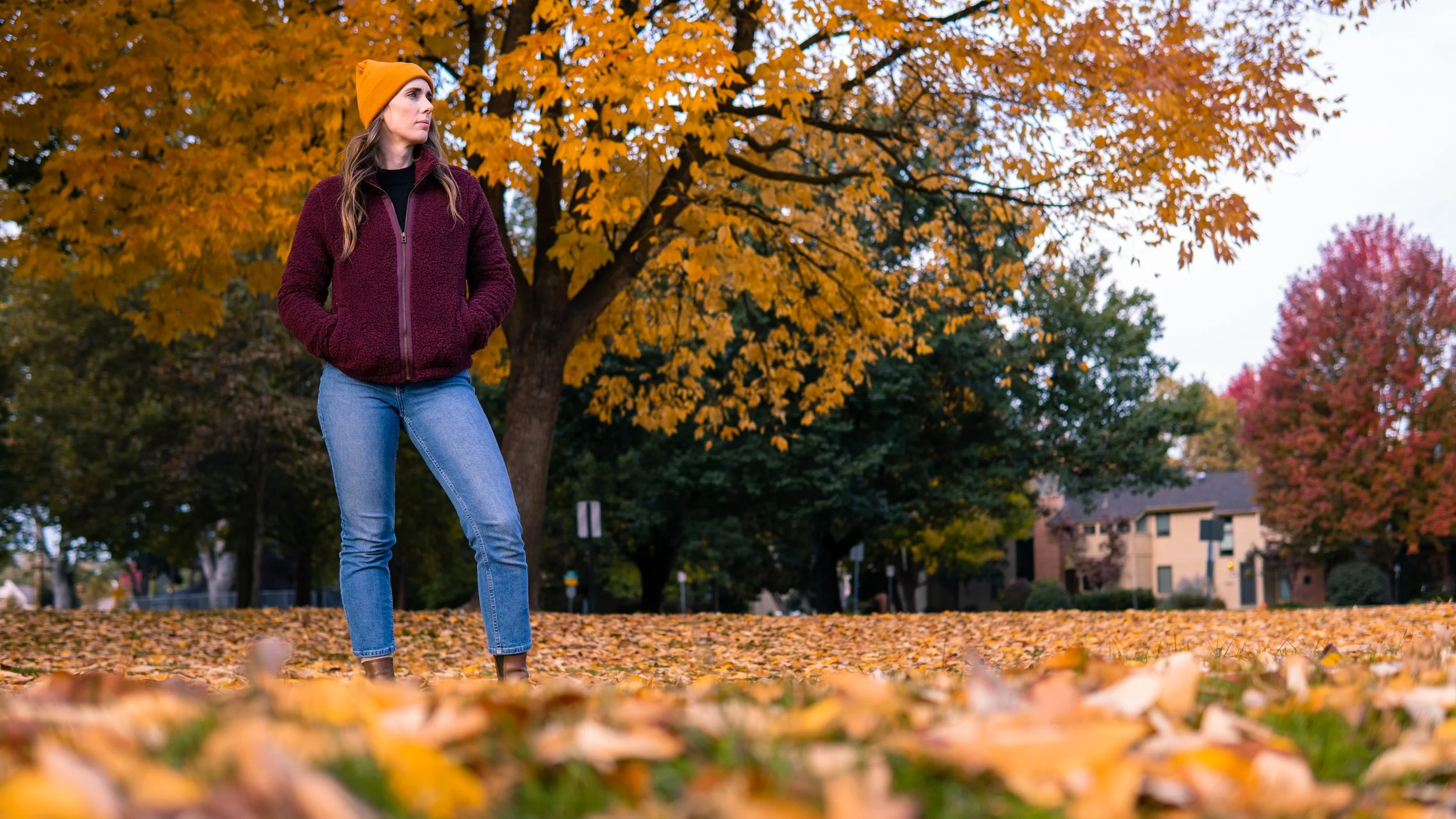 A6600374.jpg