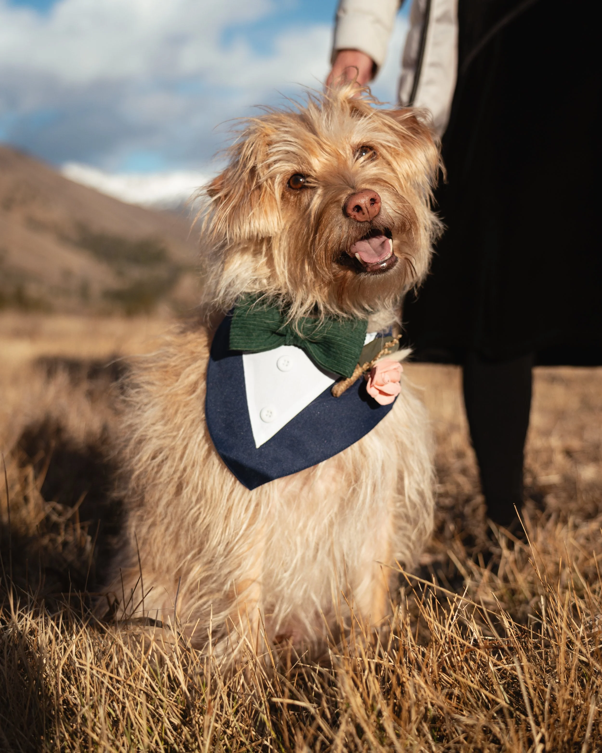 Johnnie Elopement-54.jpg