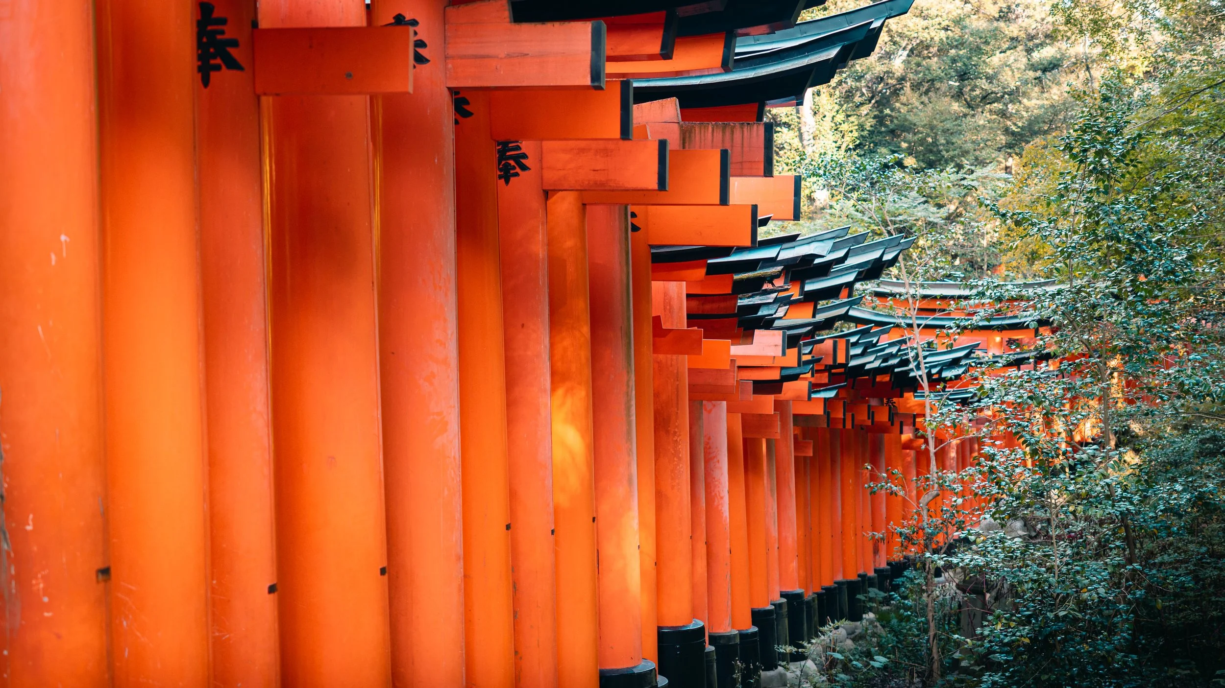 Japan a6700 16-55 F2.8-14.jpg