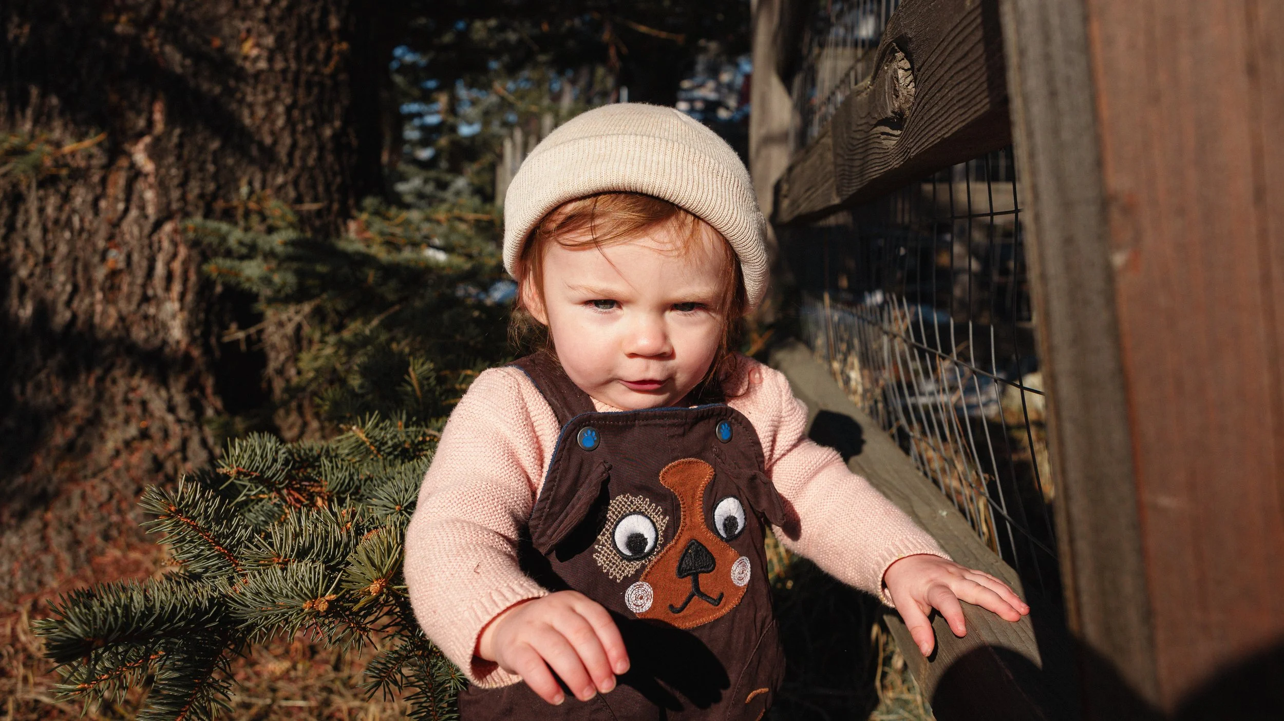 Everly 1 Year Old Photos-11.jpg