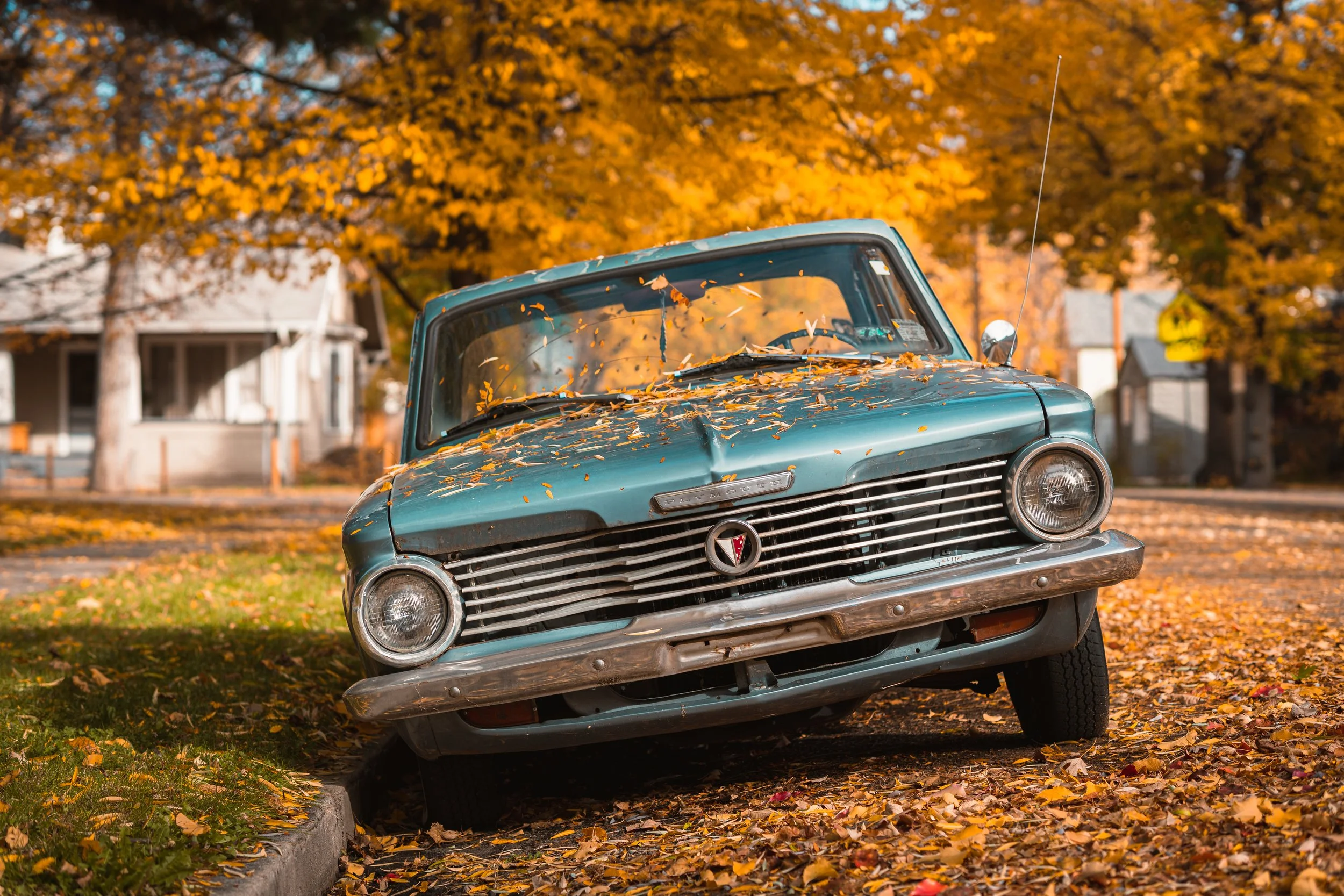 Old Blue Car in Fall.jpg