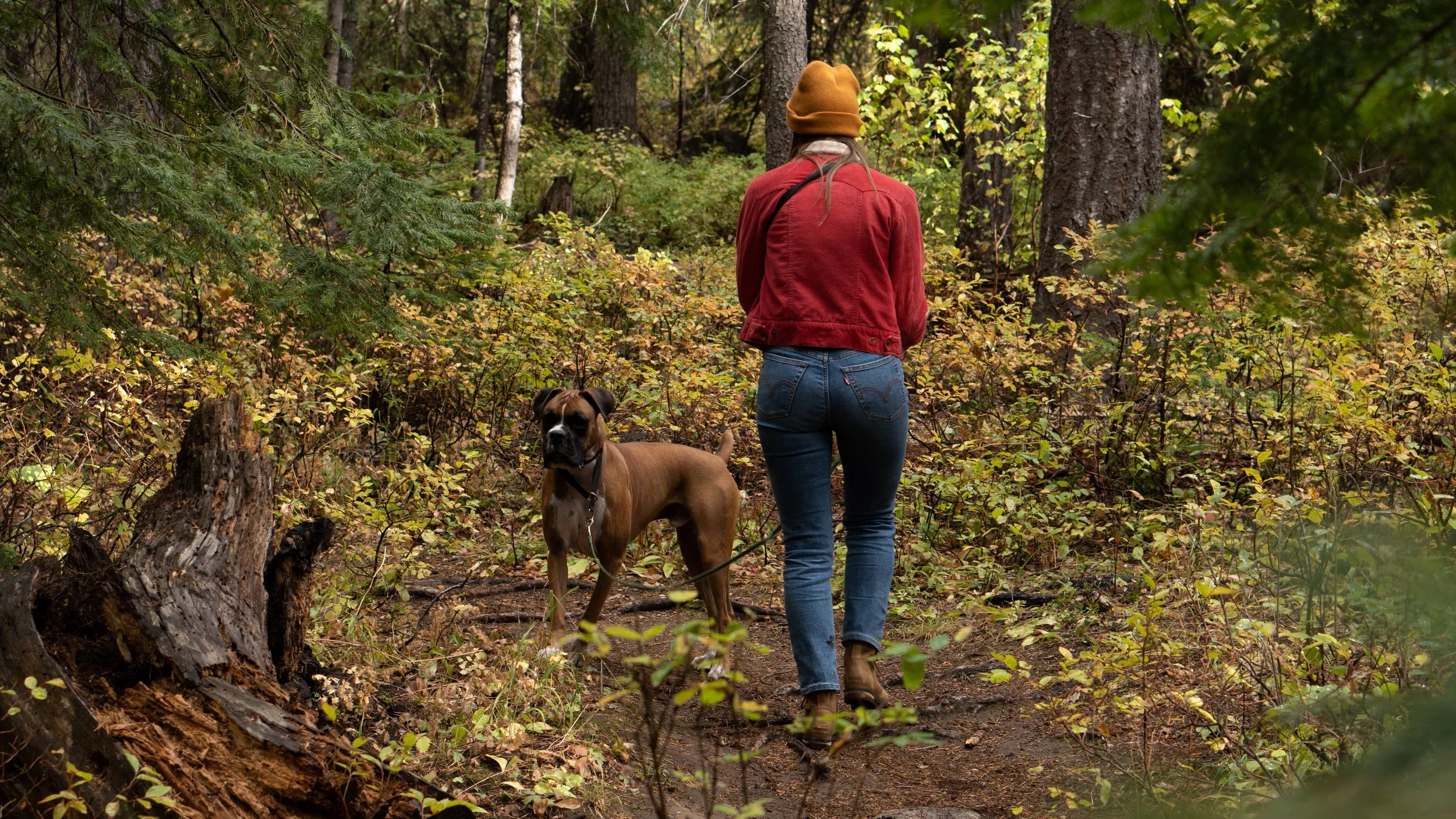 Sony 50mm 1-100 F4.5 iso 100 (1 of 2).jpg
