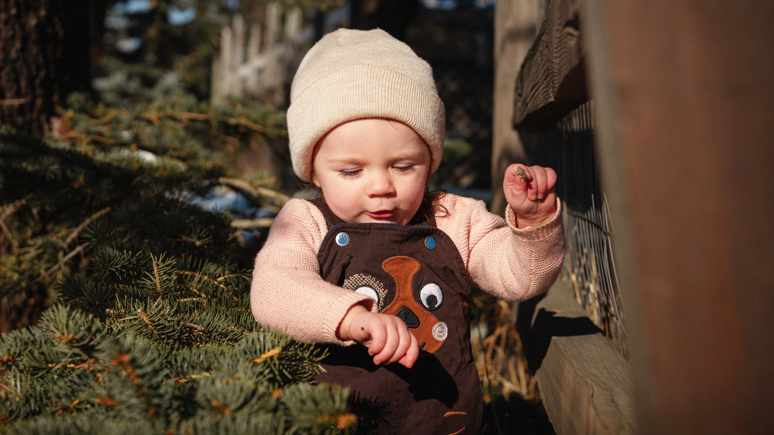 Everly 1 Year Old Photos-9.jpg