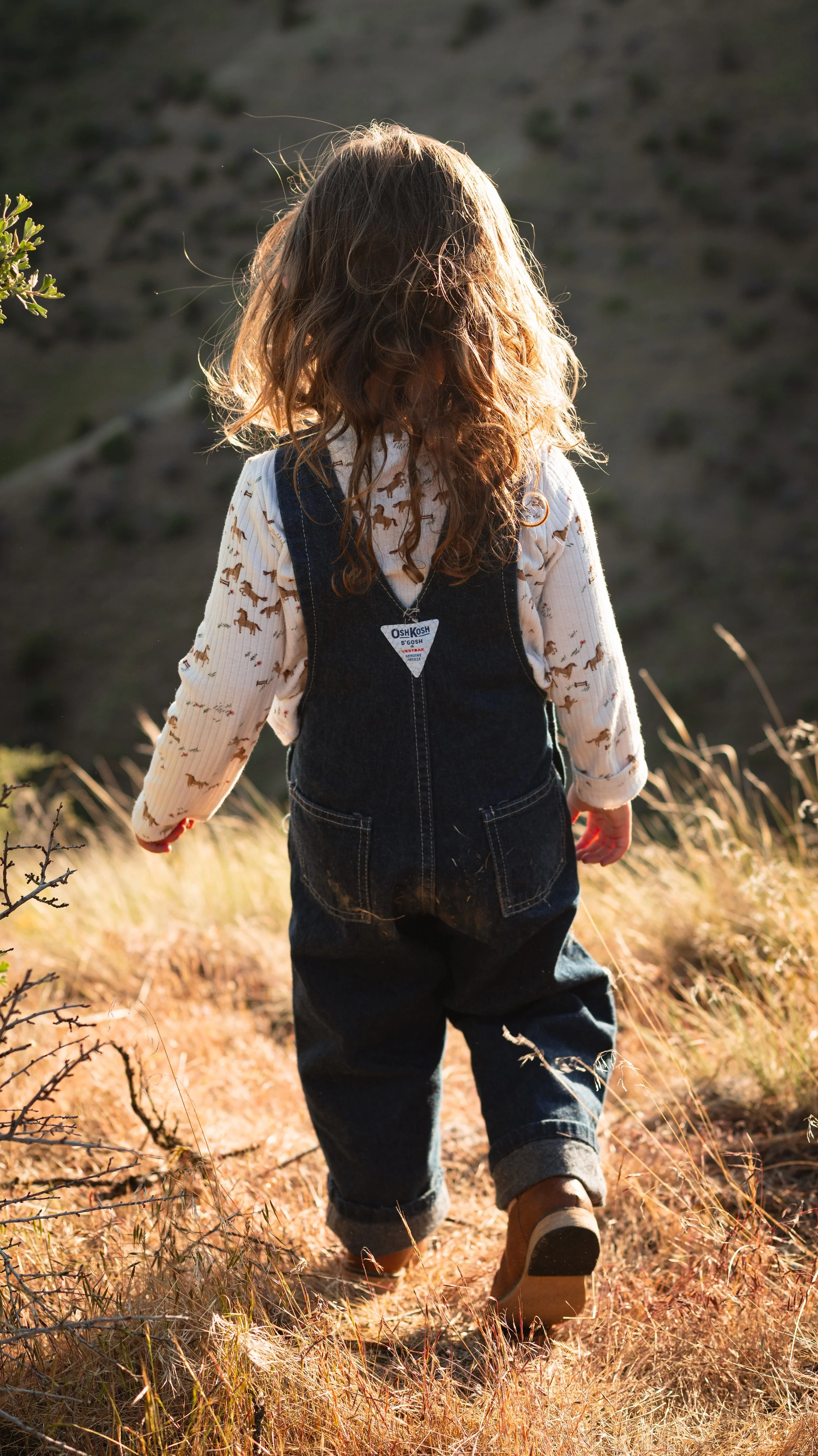 Elowen Age 3 Overalls-27.jpg