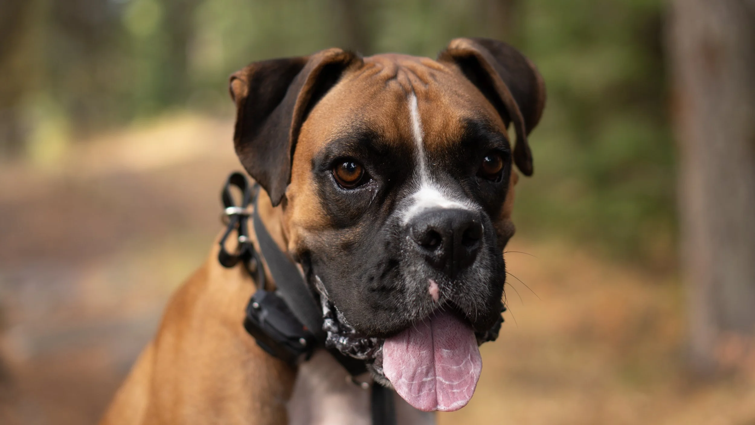 Sony 50mm test photos (3 of 5).jpg