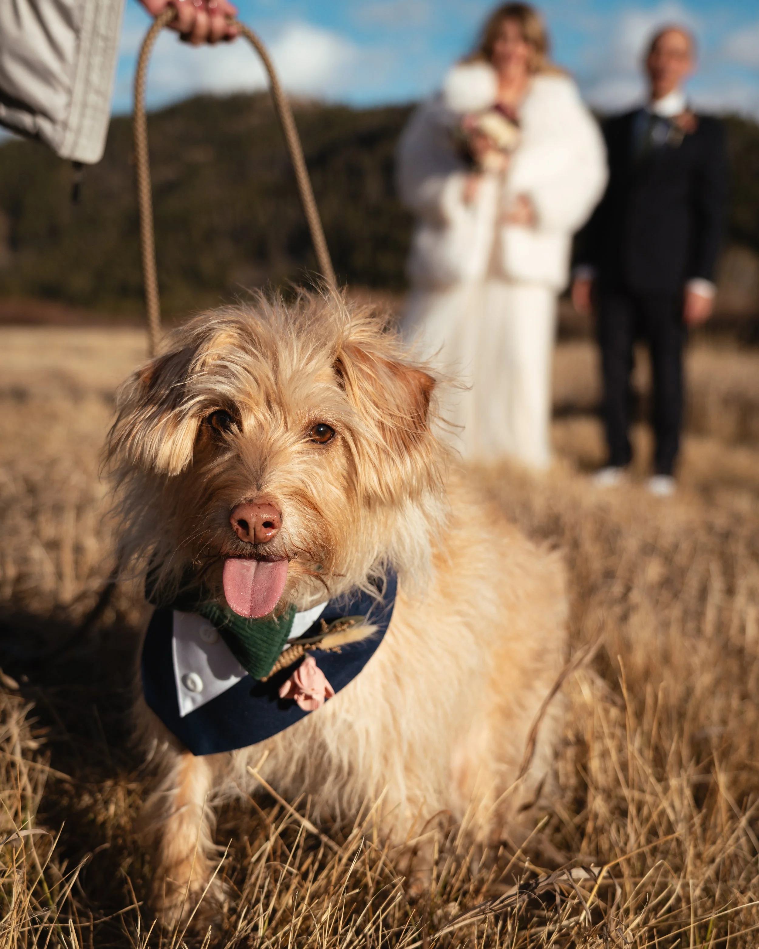 Johnnie Elopement-52.jpg