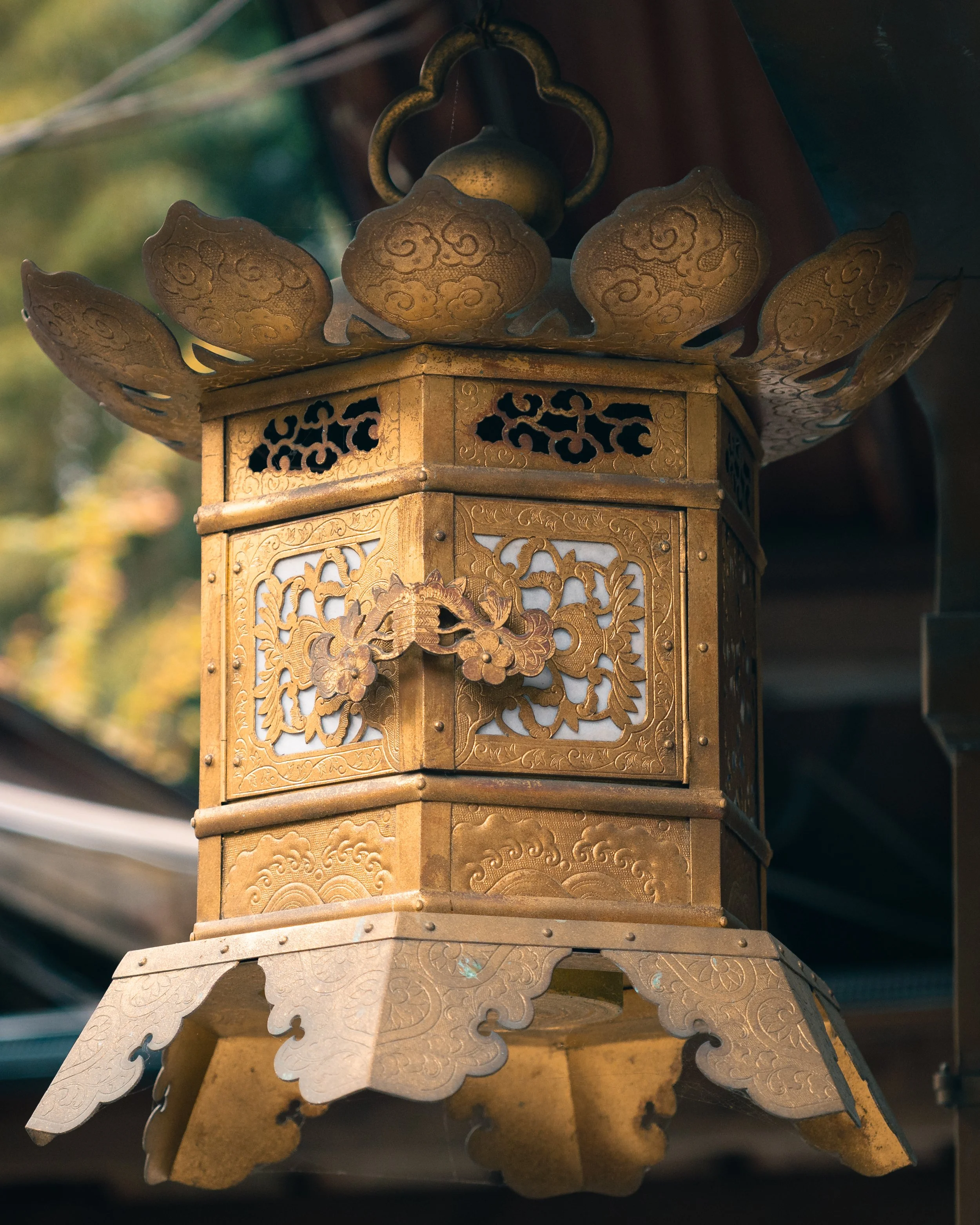 Japan a6700 16-55 F2.8-28.jpg