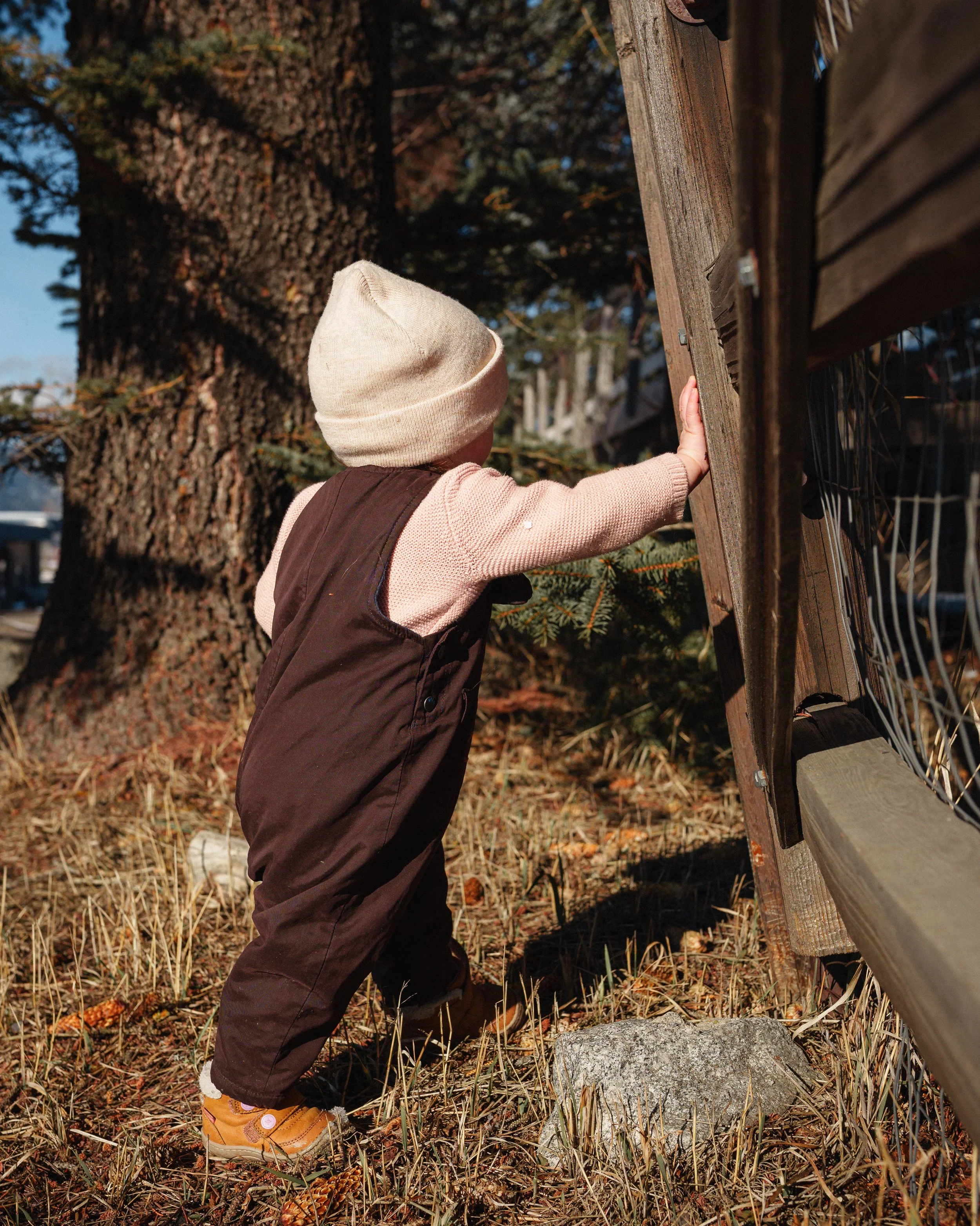 Everly 1 Year Old Photos-3.jpg