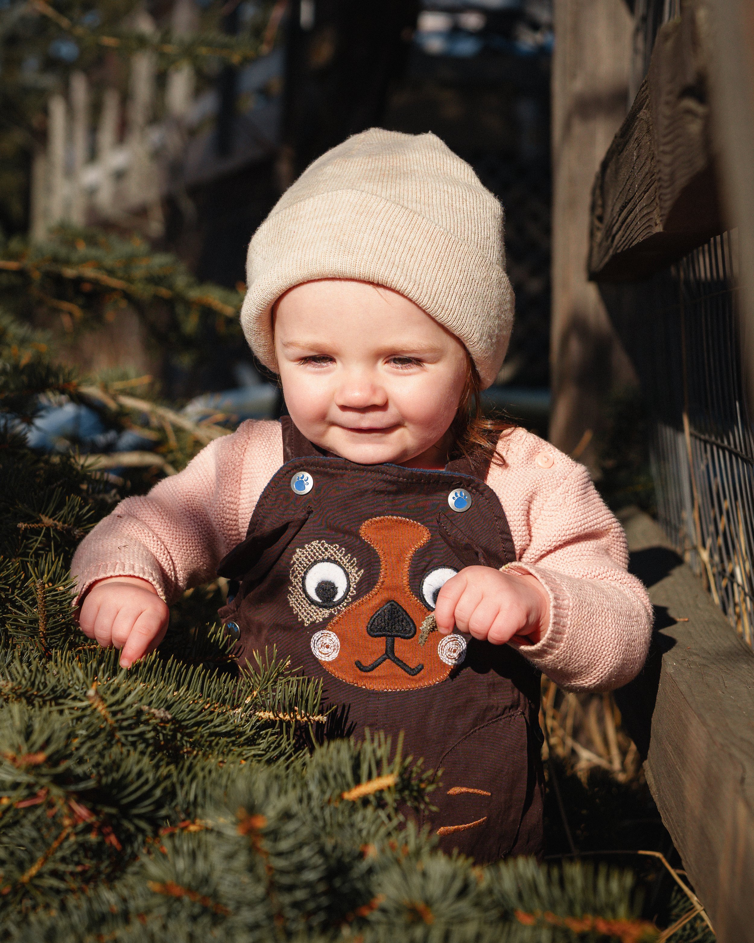 Everly 1 Year Old Photos-8.jpg