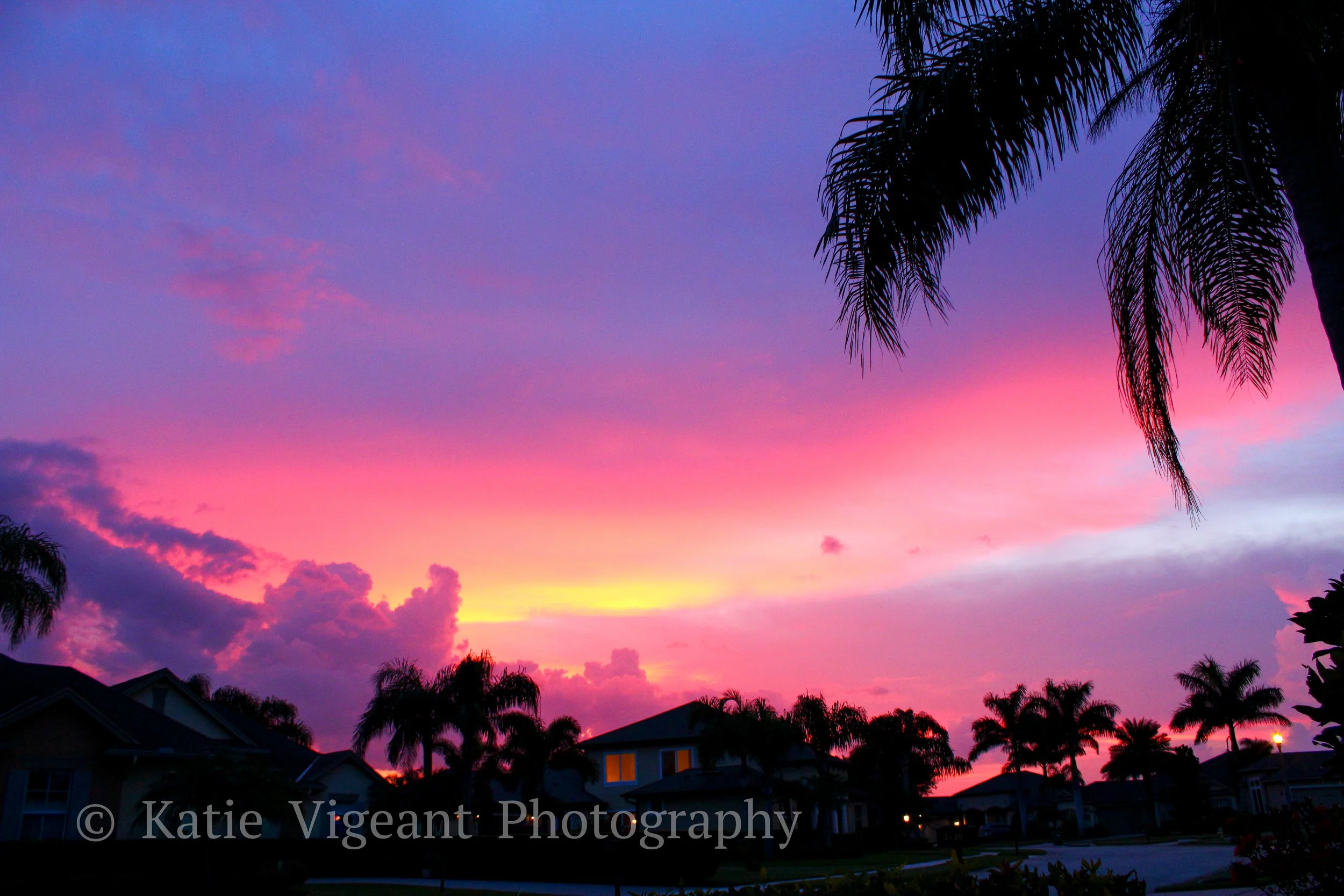 Colorful sunset over suburban houses with palm trees in the foreground.