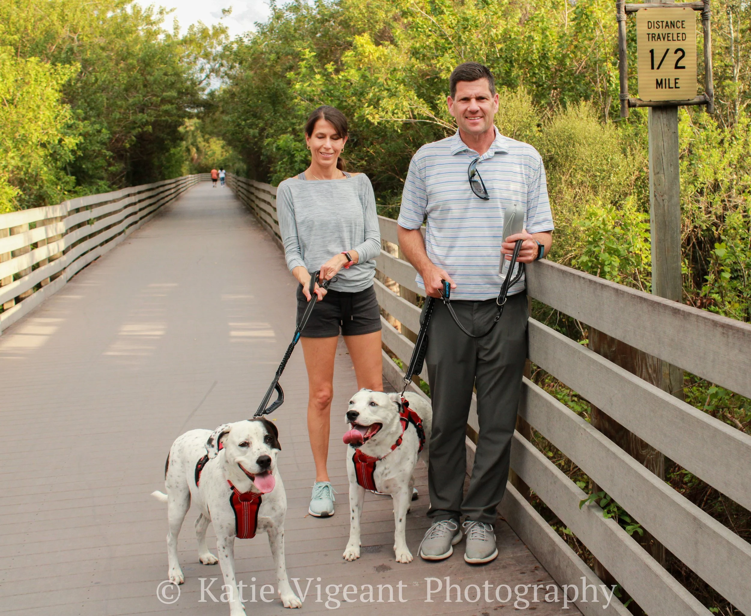A man and woman standing on a wooden bridge, holding leashes, with two Dalmatian-mixed dogs, on a walking trail with trees on either side; a sign indicates they have traveled half a mile.