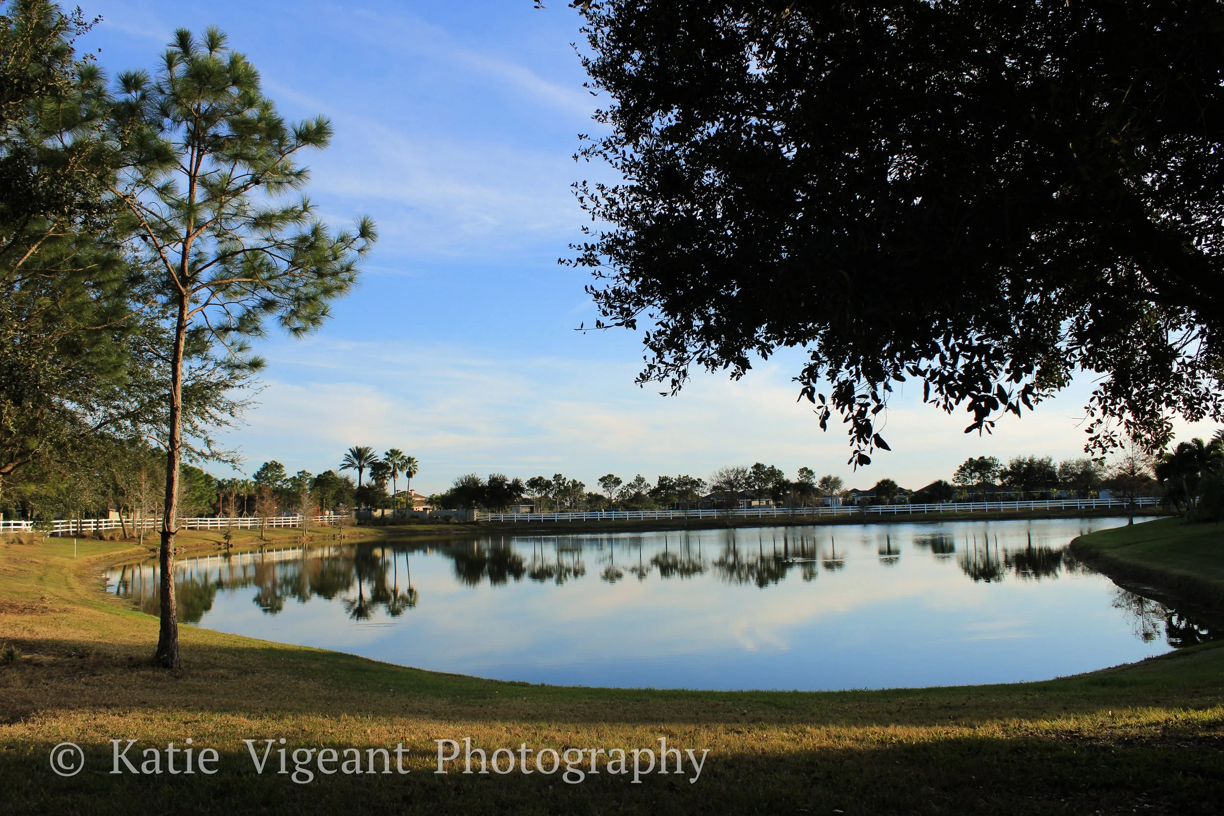 Scenic pond surrounded by grassy banks and trees, with reflections of trees and sky on the water, under a partly cloudy sky in a peaceful outdoor setting.