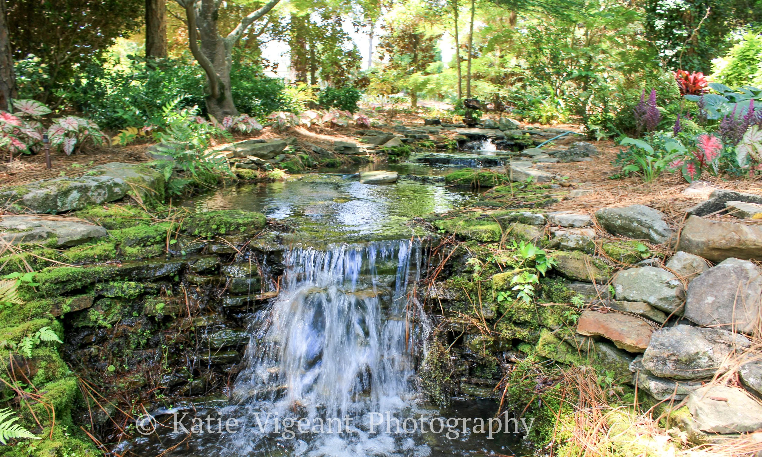 A small waterfall with flowing water in a lush, green garden surrounded by rocks and various plants and trees.