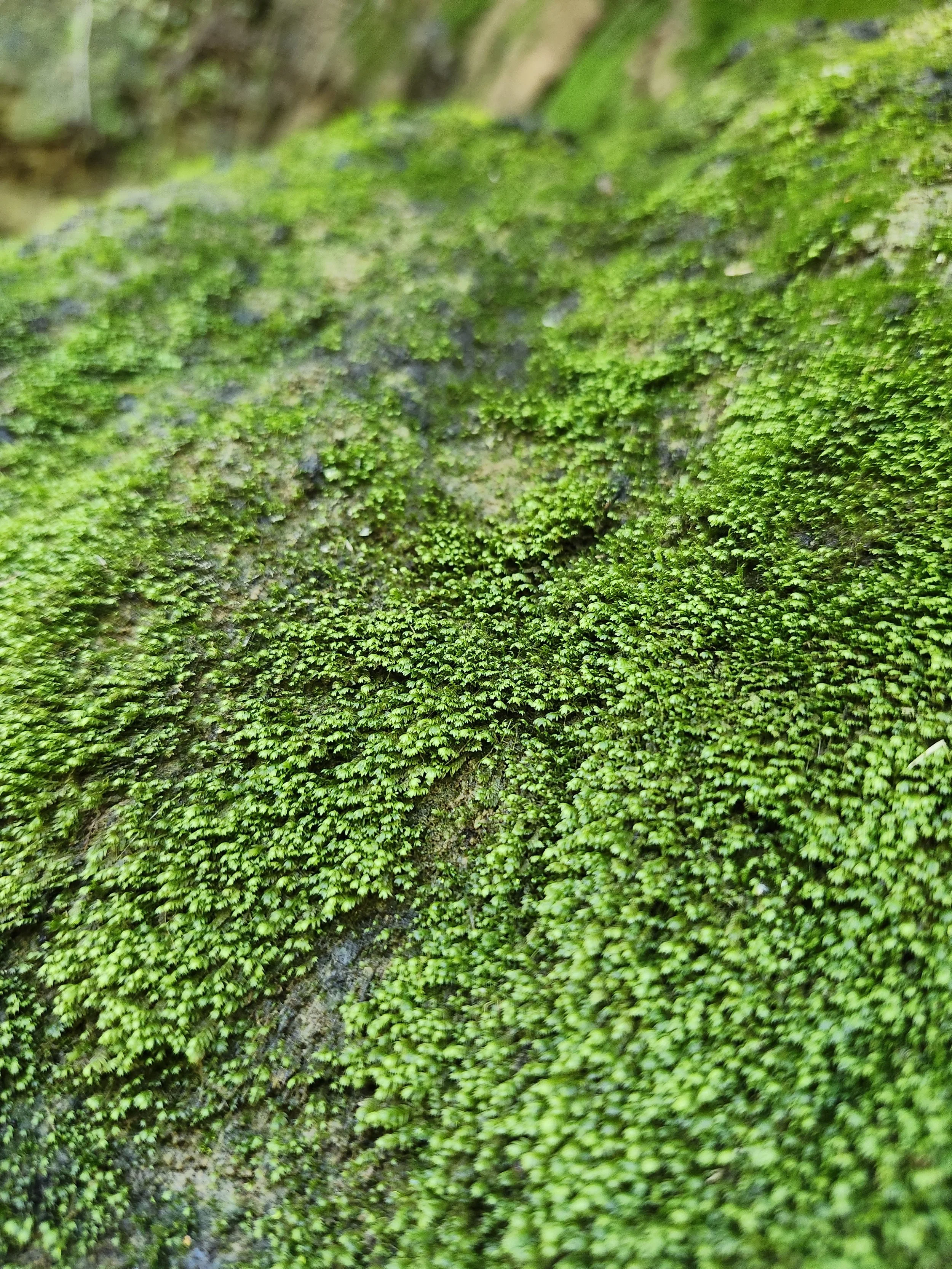 20260219_103643.jpg