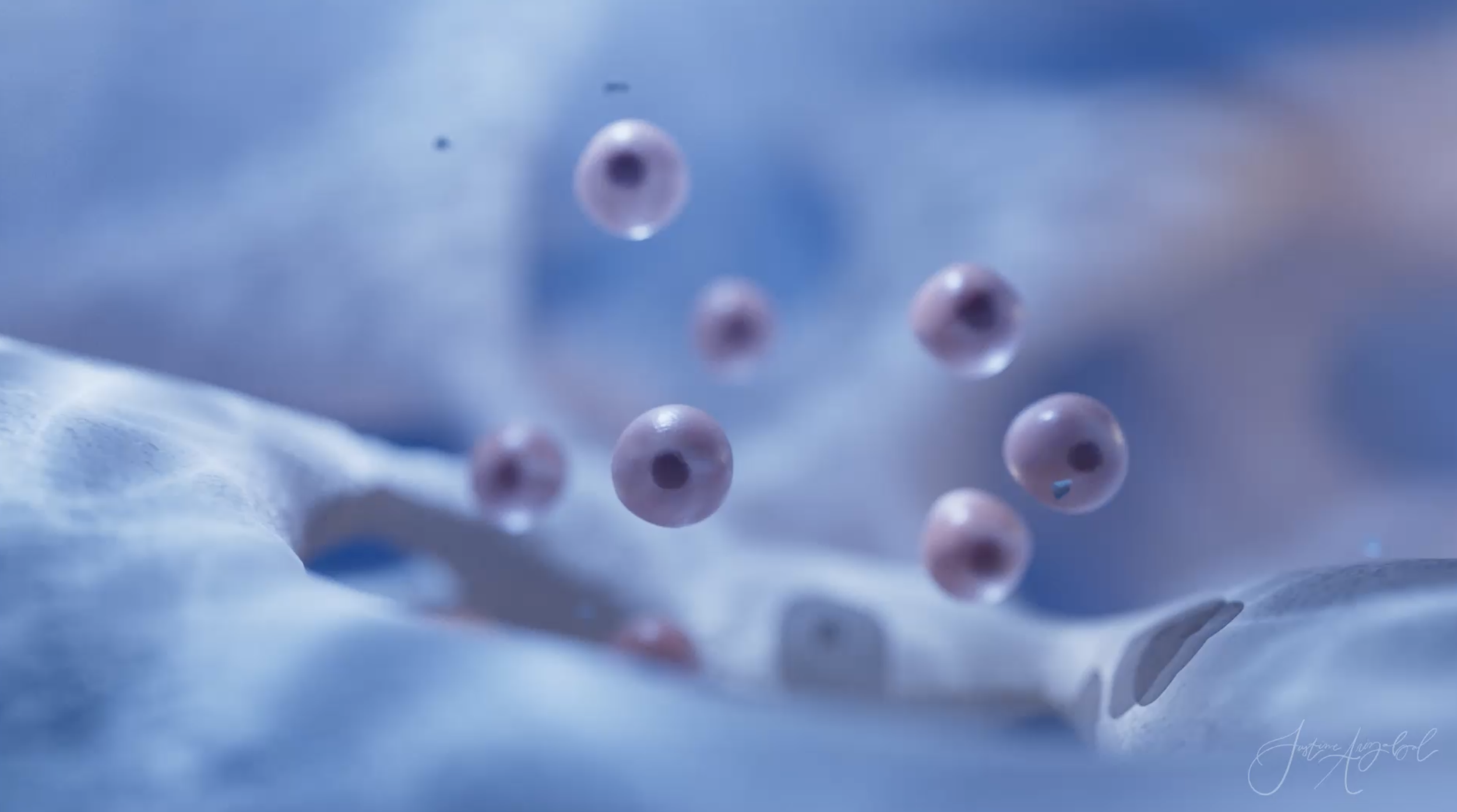   The Sealing Zone: Mechanism of Osteoclasts/i   Cinema 4D Redshift, Adobe After Effects, 2026.
 Click to watch video. 