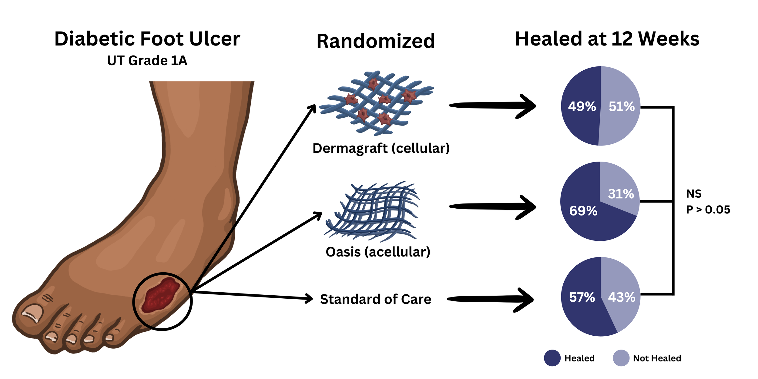   Graphical Abstract  , Procreate, Adobe Photoshop, Canva, 2025.

 Graphic abstract for Dr. Isseroff's research lab, acknowledged in publication: Cellular Versus Acellular Matrix Products for Diabetic Foot Ulcer Treatment: The Dermagraft and Oasis Lo