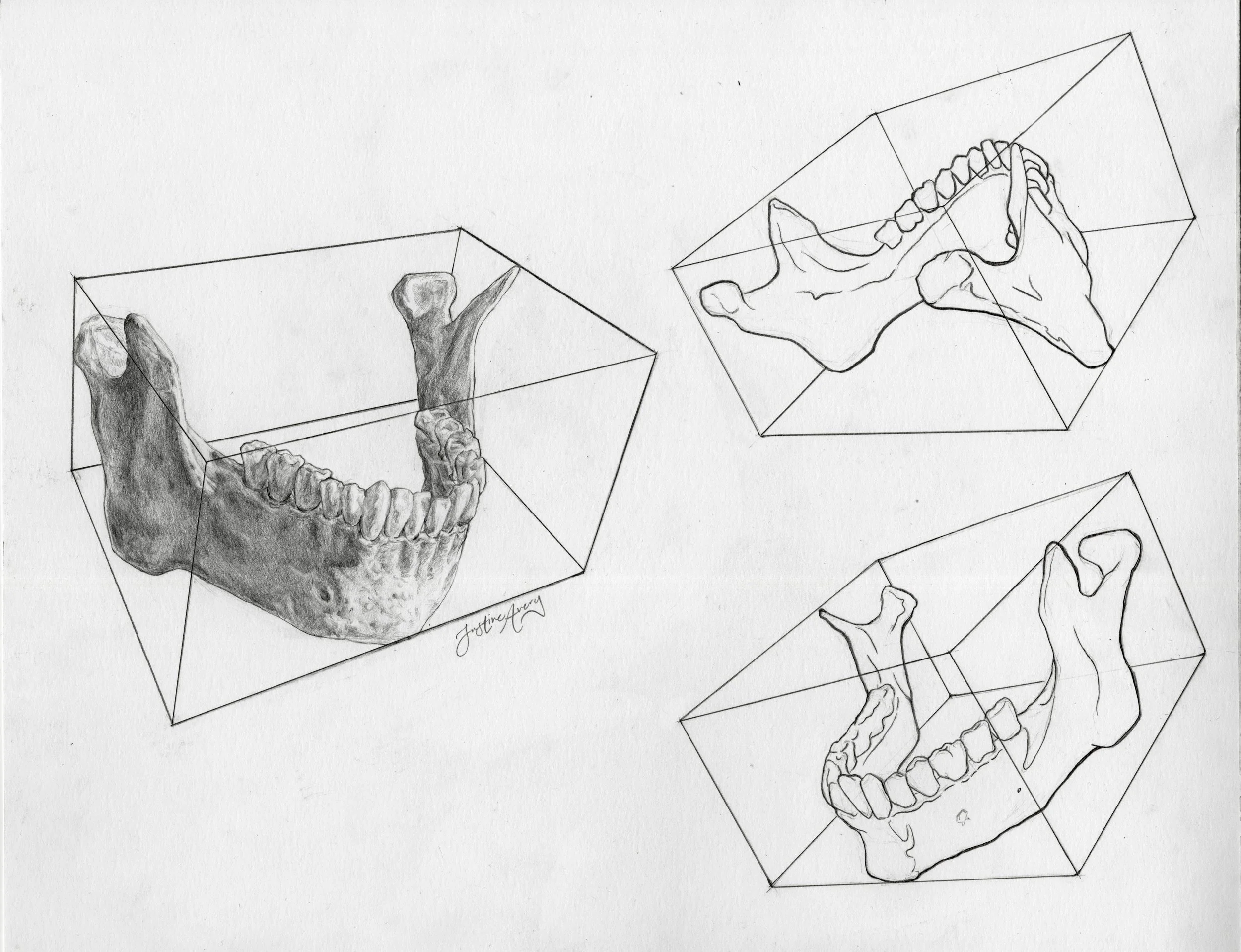   Bone in a Box  , graphite on bristol, 2025.

 A perspective study placing a mandible in a box while maintaining proportions at different angle. The left presents a hero shot with a rendered mandible. The right shows the contours of a mandible withi