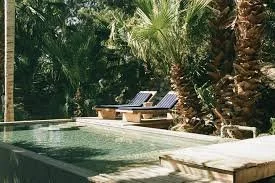 Desert Rebirth Retreat