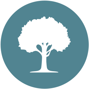 Icon of tree