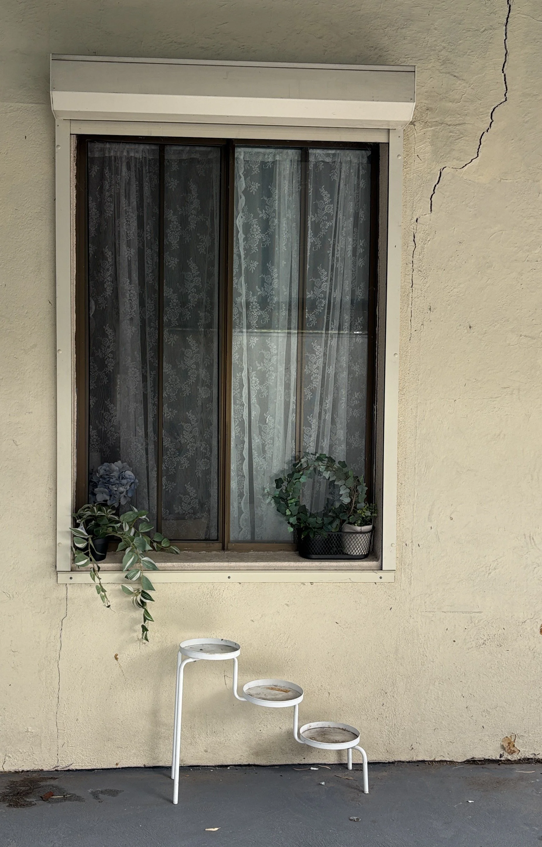 Front window before.JPG