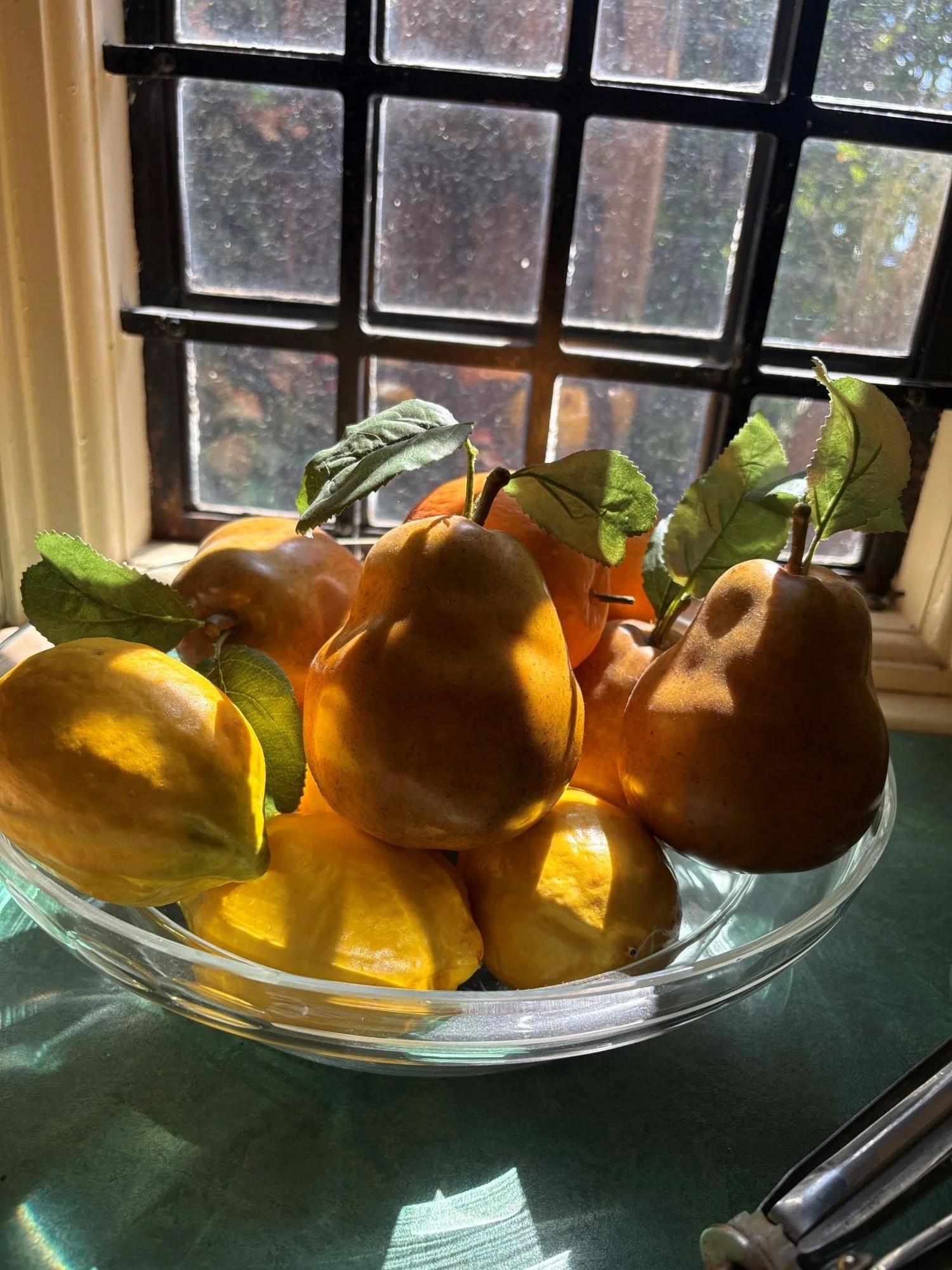 Fruit Carrick Hill.JPG