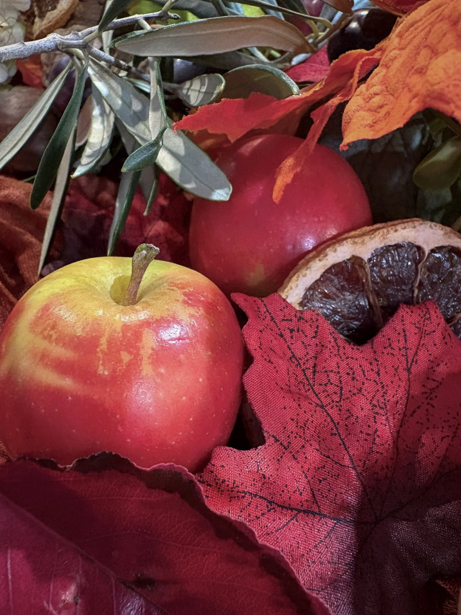 Autumn Harvest…After