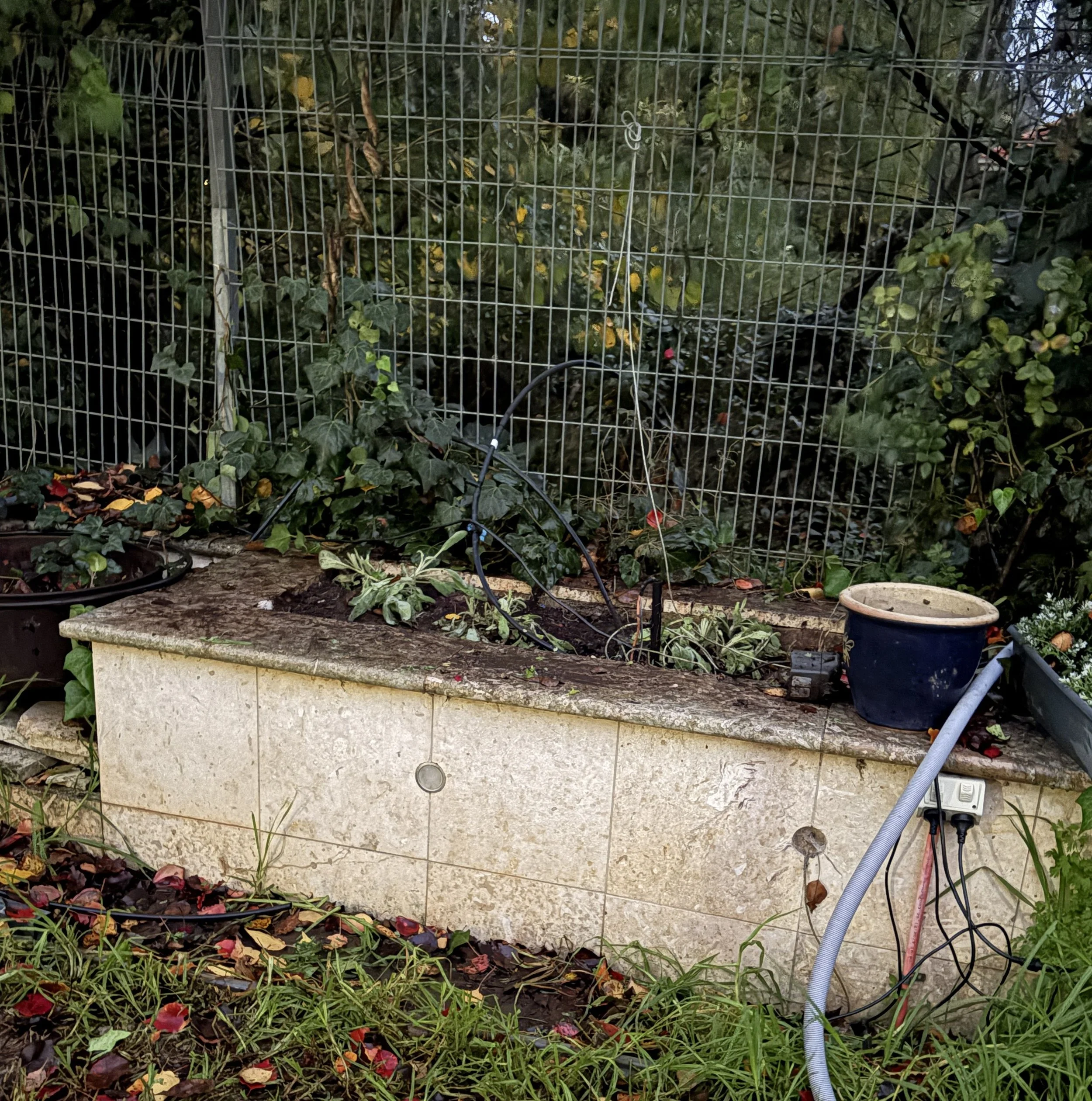 Garden Bed after_2.JPG